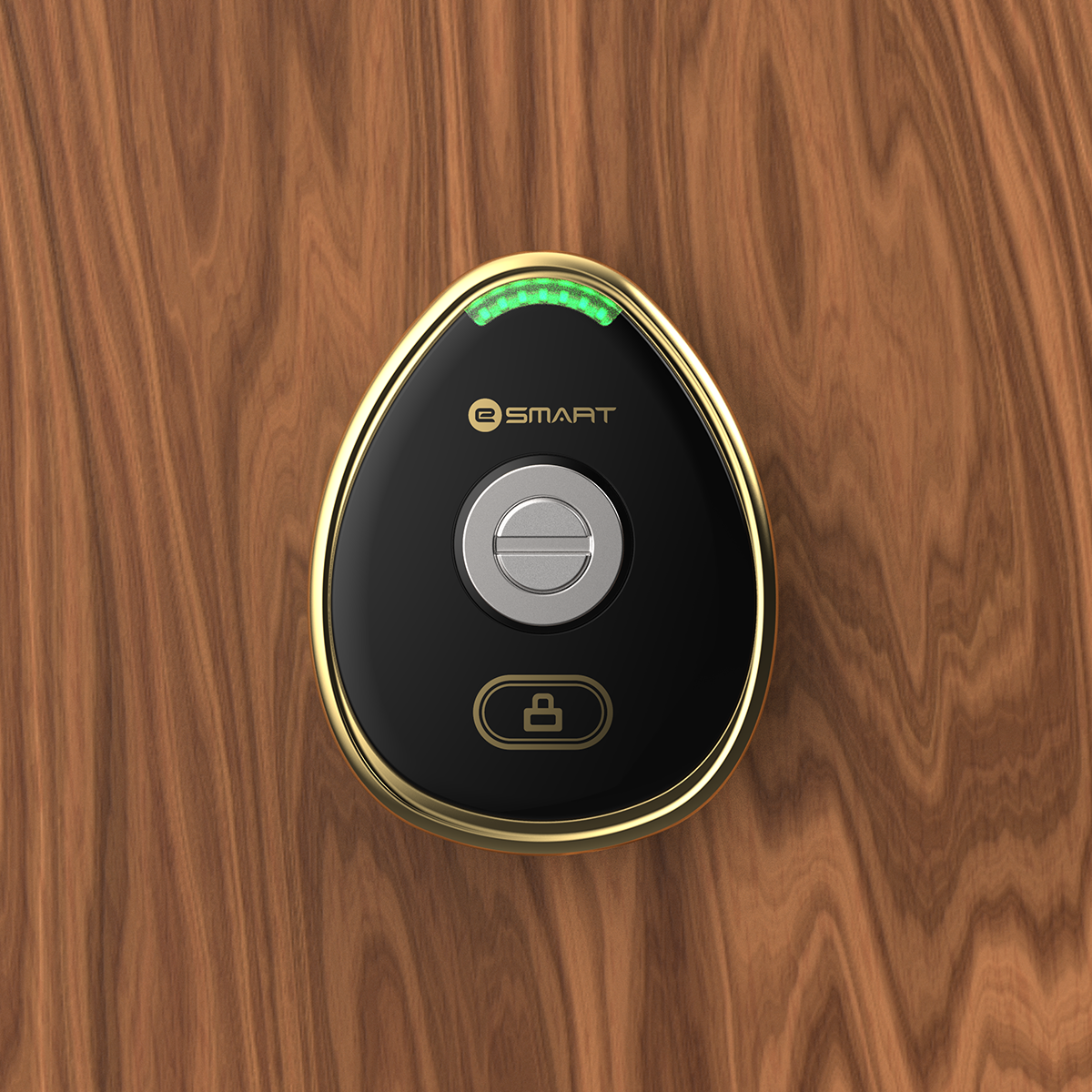 Digital Lockerlock