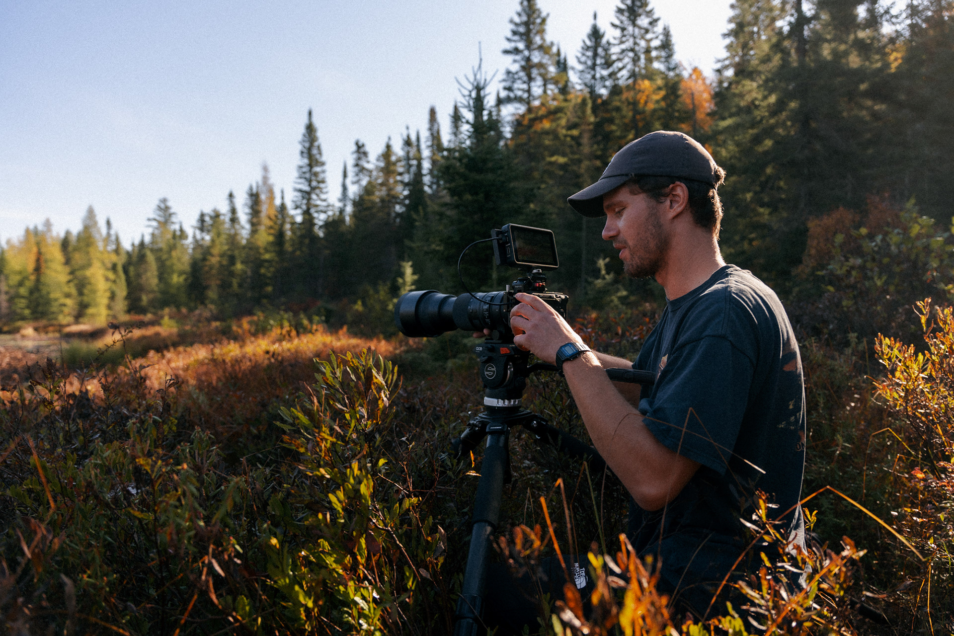 Algonquin Park. Photo by Mitch Bowmile.