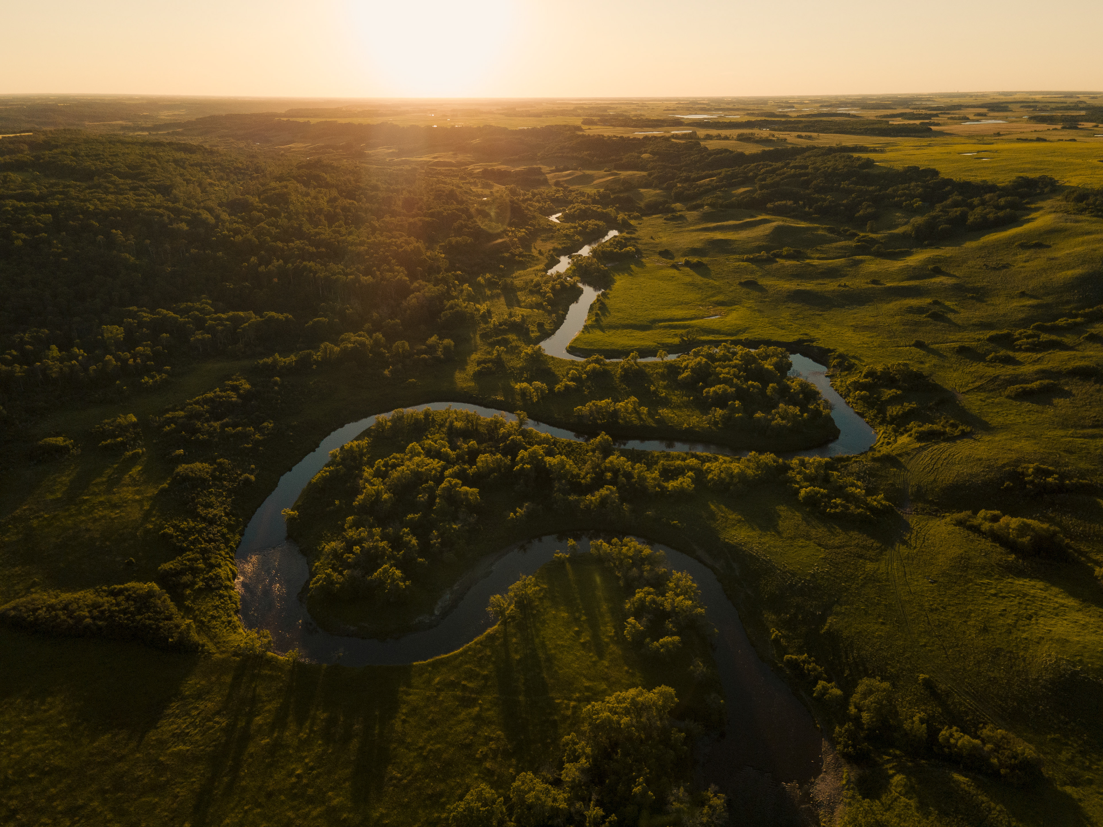 Pipestone Creek runs through rancher Clint Blythe's property in Southern Saskatchewan. Regenerative grazing practices and maintaining native plants along the river's edge help to mitigate flooding and improve water quality in this unique riverine ecosystem.