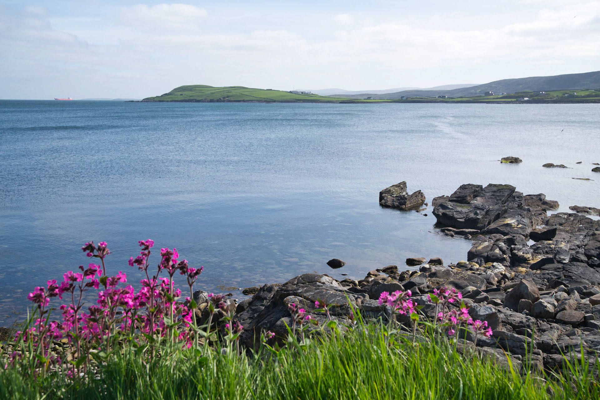 The Knab, Lerwick, Shetland