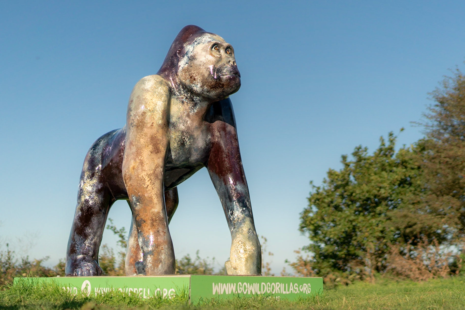 ROTCHI [Le Route Du Nord]