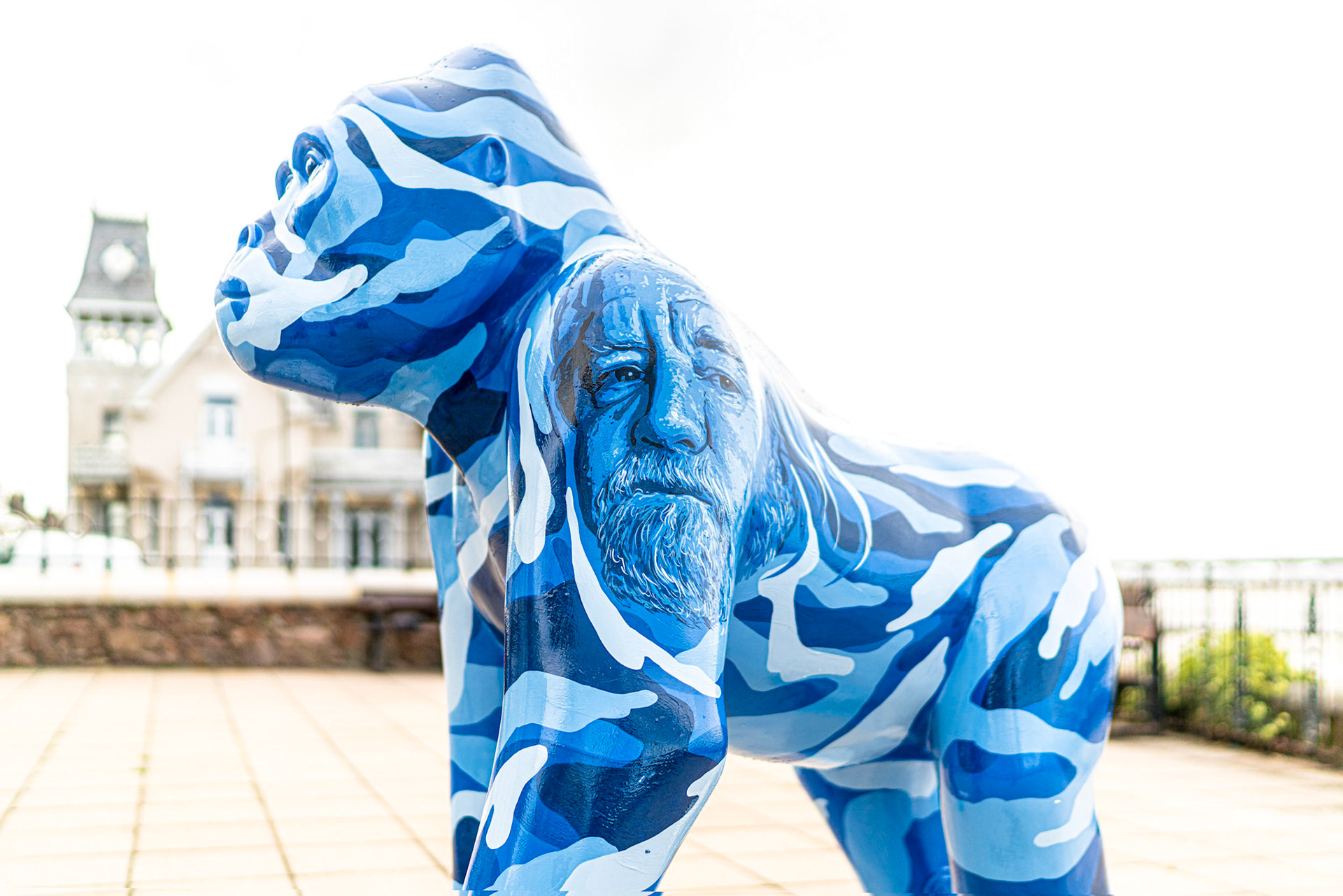 THAT ELUSIVE DODO [Havre des Pas]