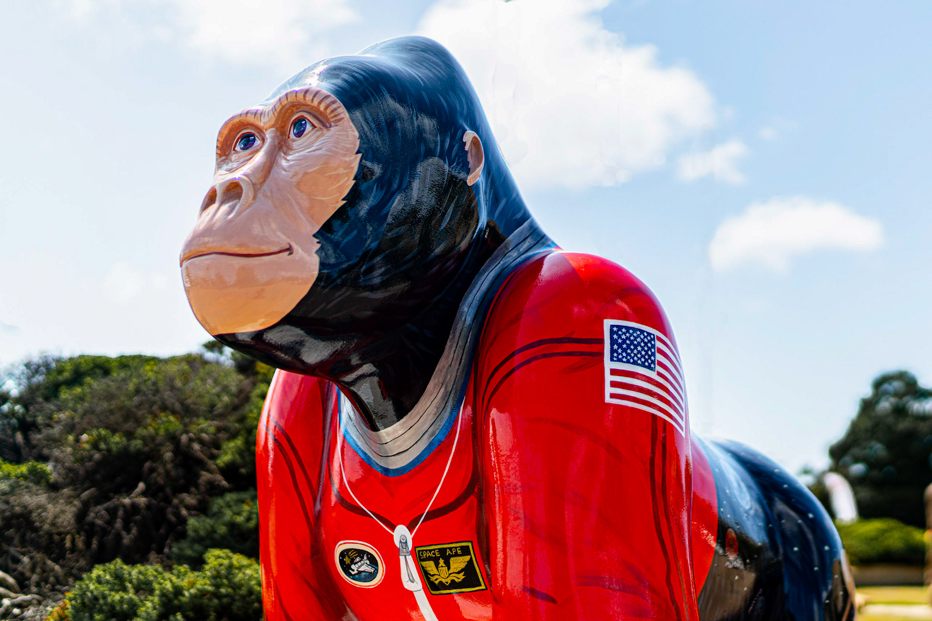 SPACE APE [Royal Showgrounds]