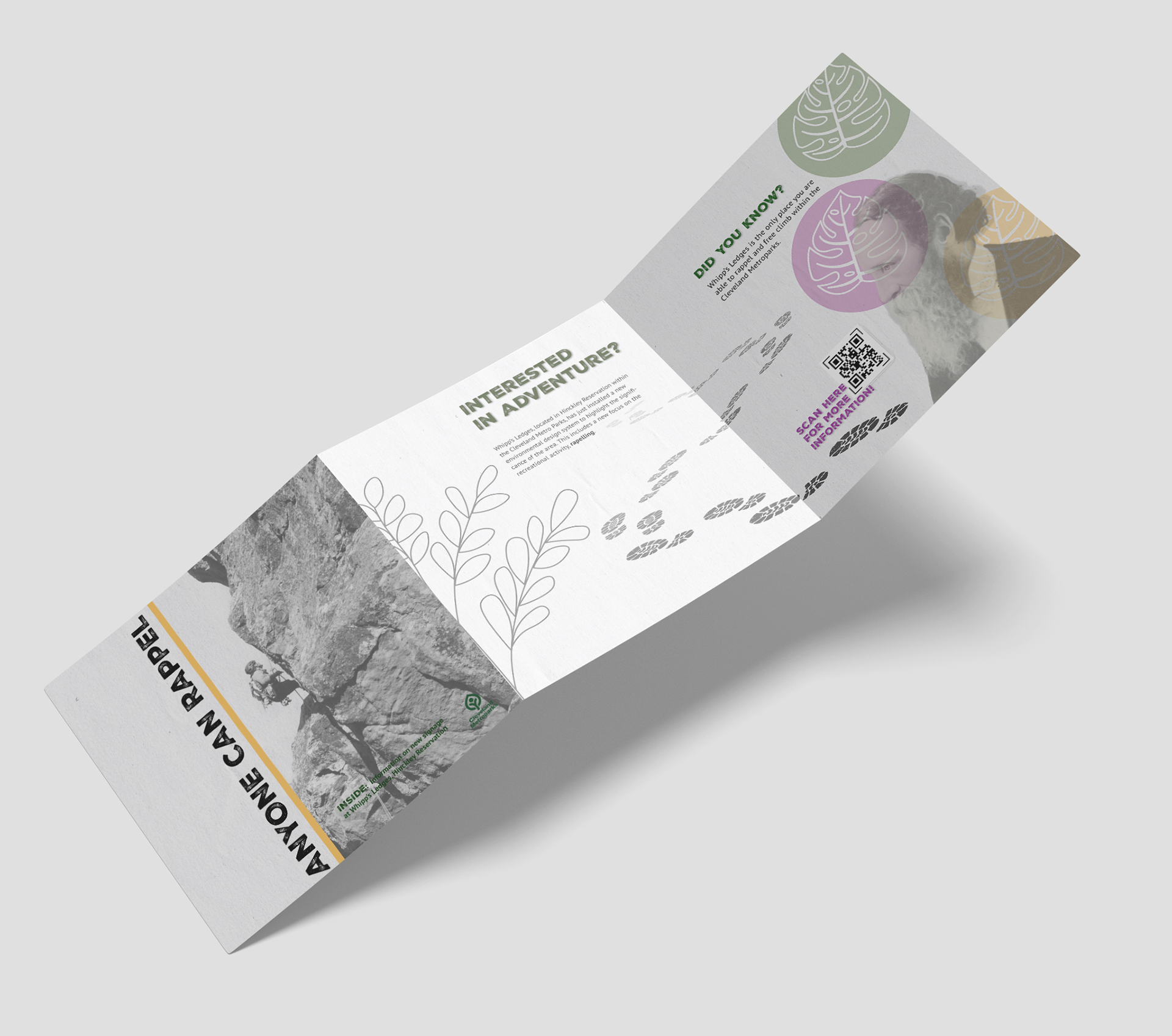 Promotional Mailer