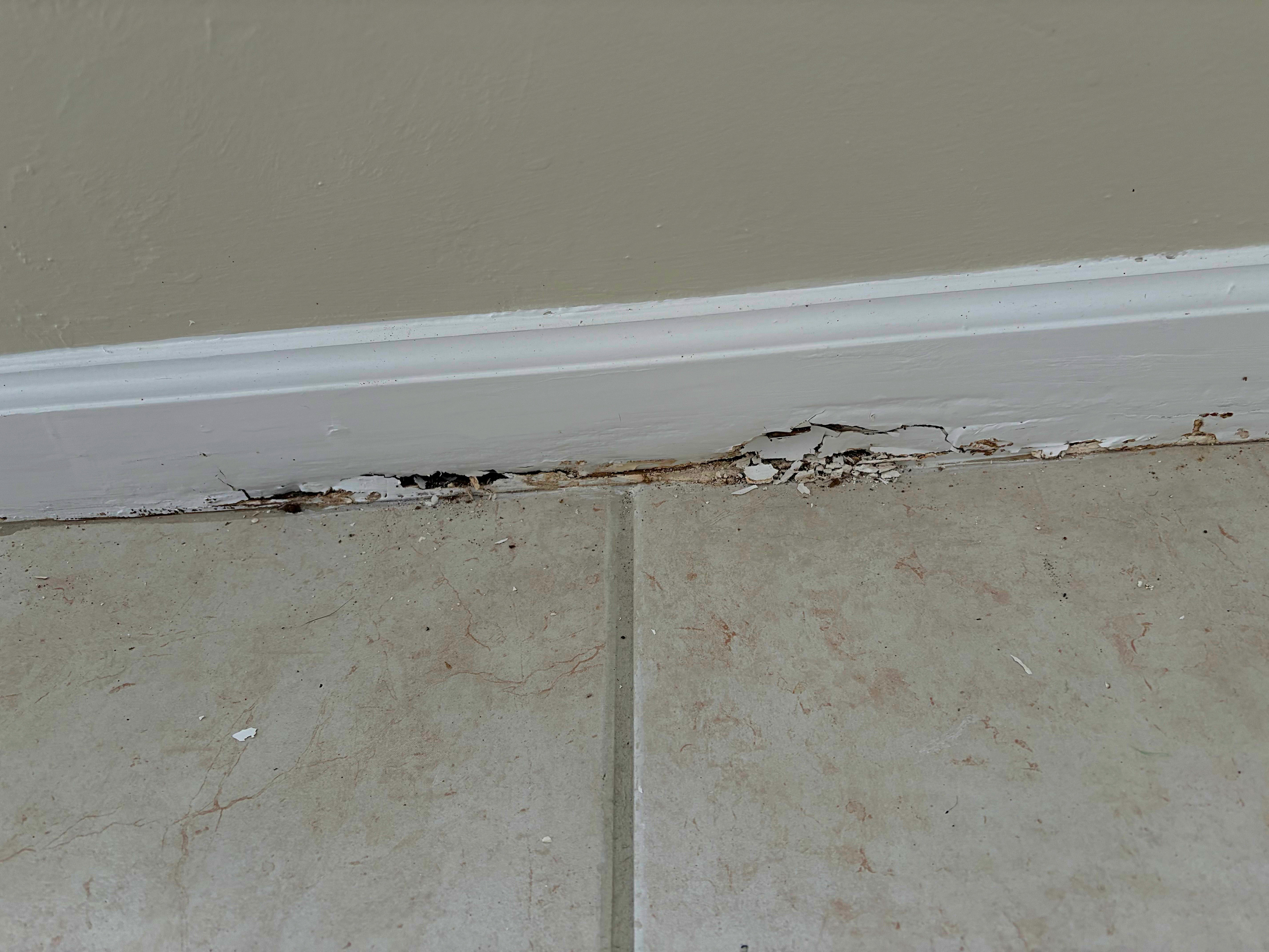 Broken Baseboards (Realtor punch list)