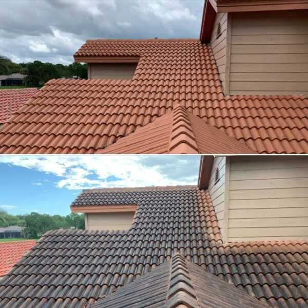 Before & After