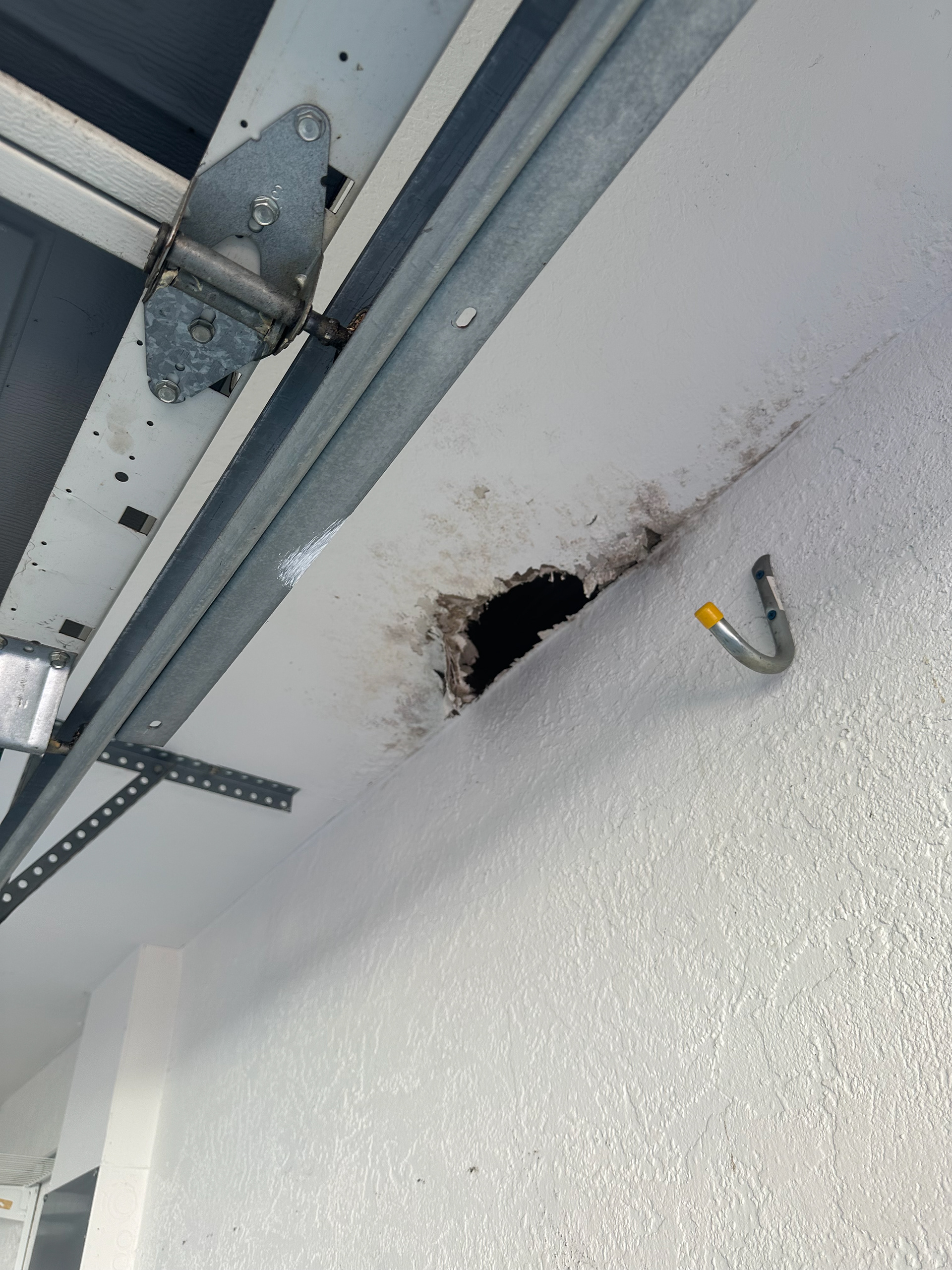 Mold in garage