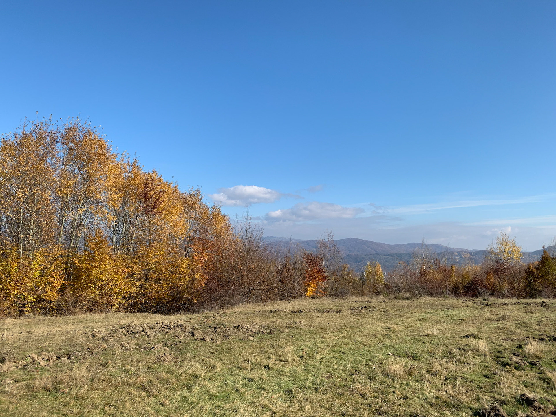 A quick brisk walk up to the plateau