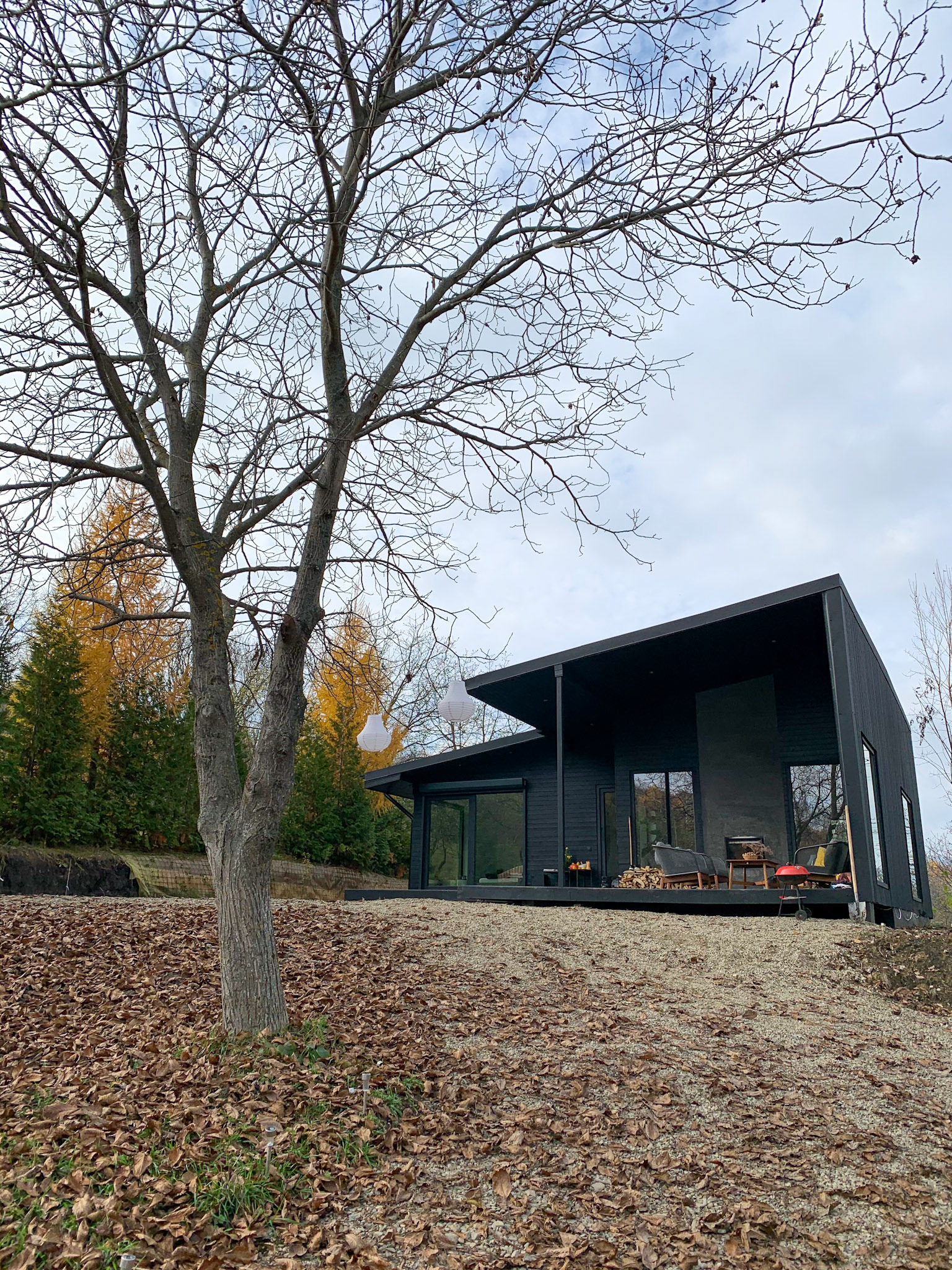 View of the "Black Walnut House"