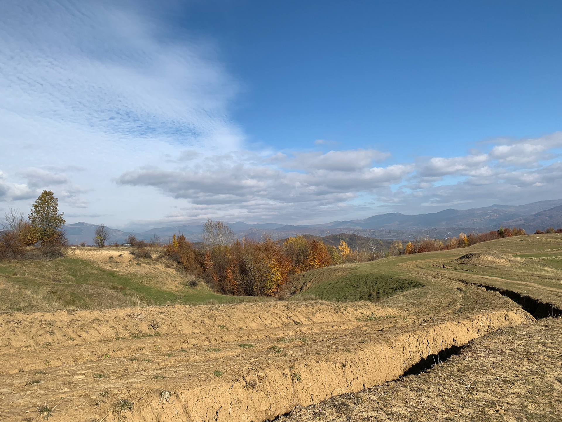 We wondered what the tracks might be of - water? ATVs? Tractors?