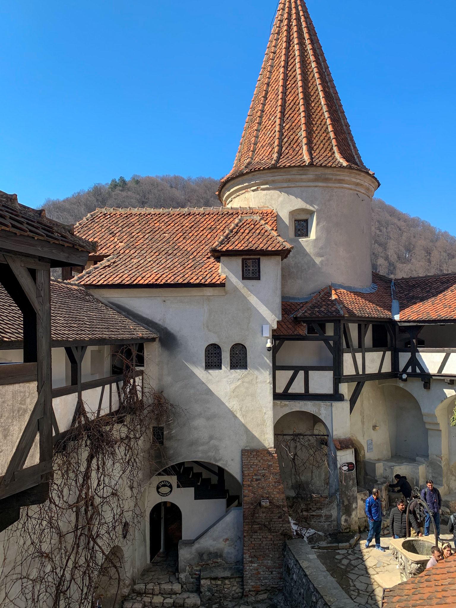 View from the courtyard