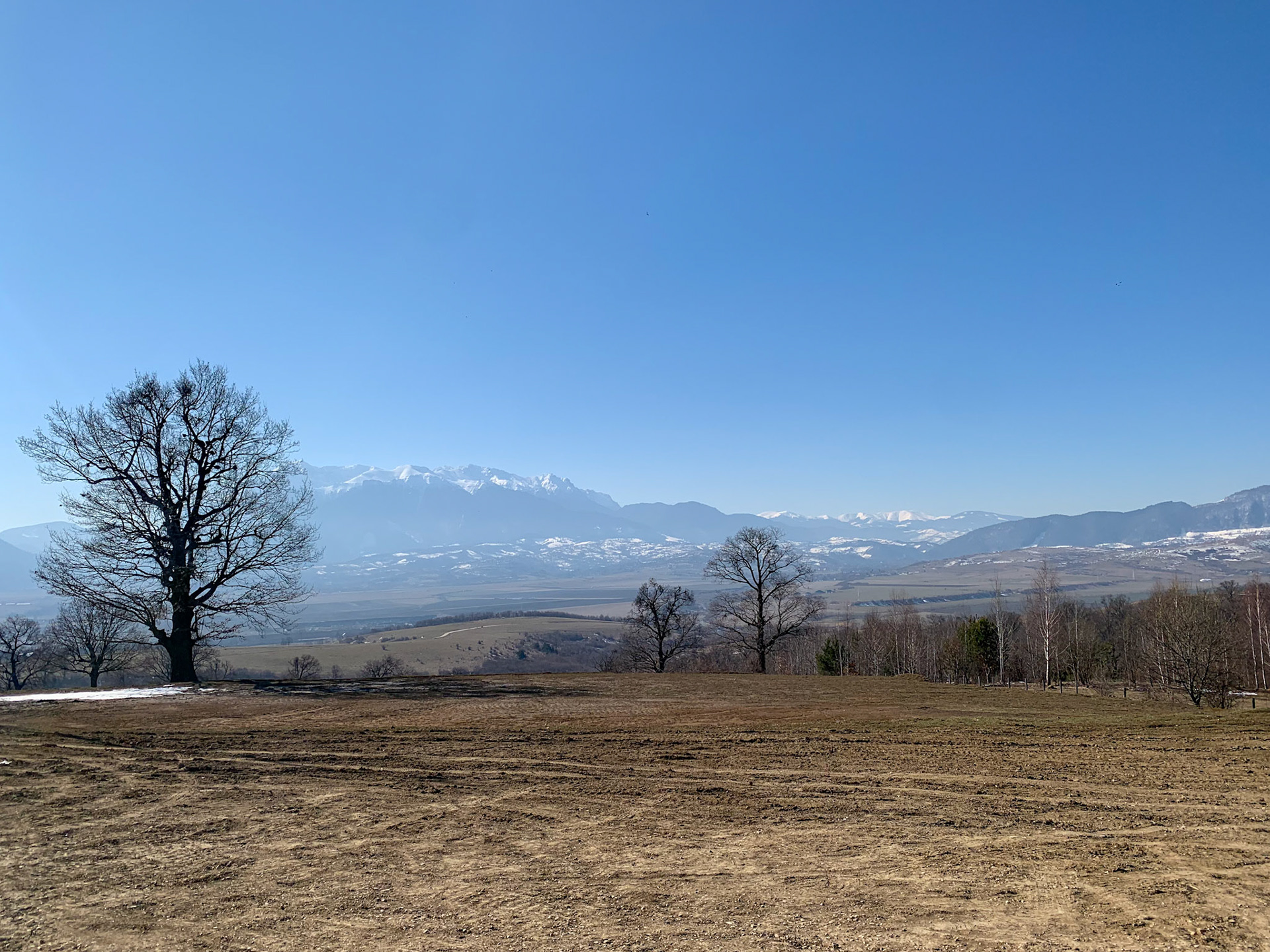 Waiting for Libearty Bear Sanctuary to open. Fagaras Mountains provides the backdrop