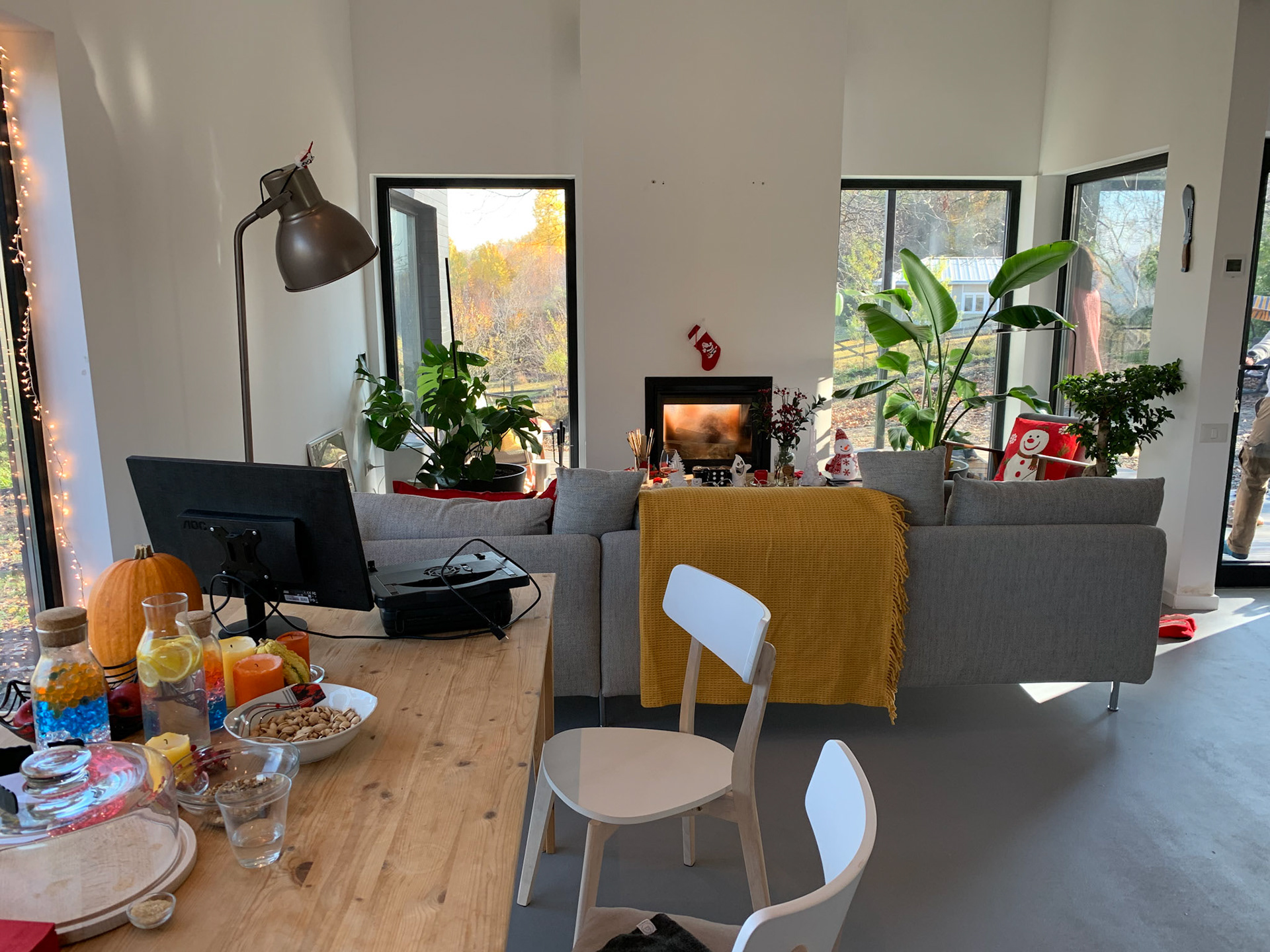 View from the dining table