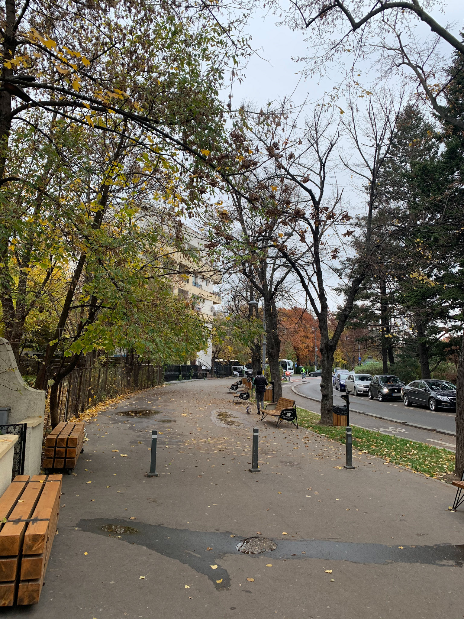 Bucharest in Fall is quite pretty
