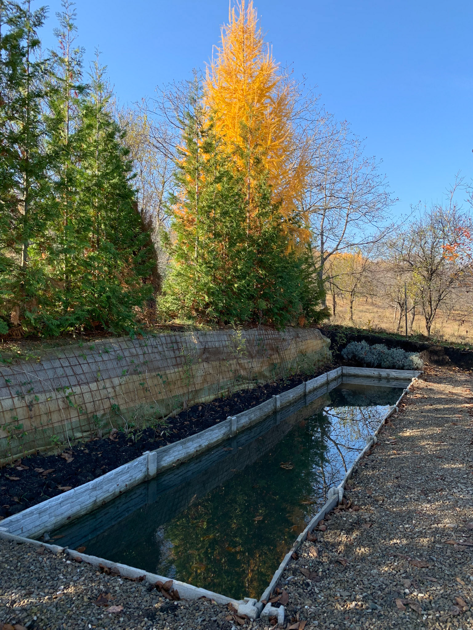 Was supposed to be a pool but probably will be changed