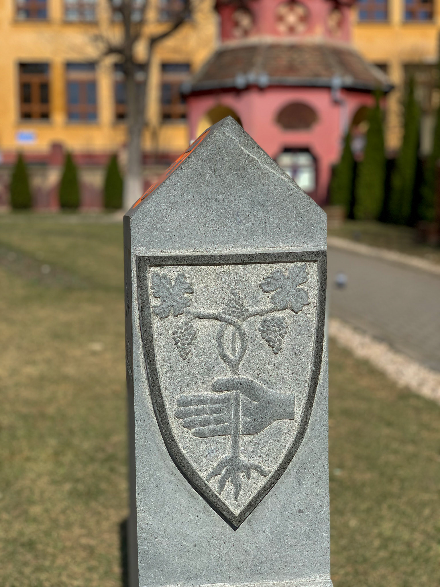 Medias is well-known for its wine and its coat of arms reflects that