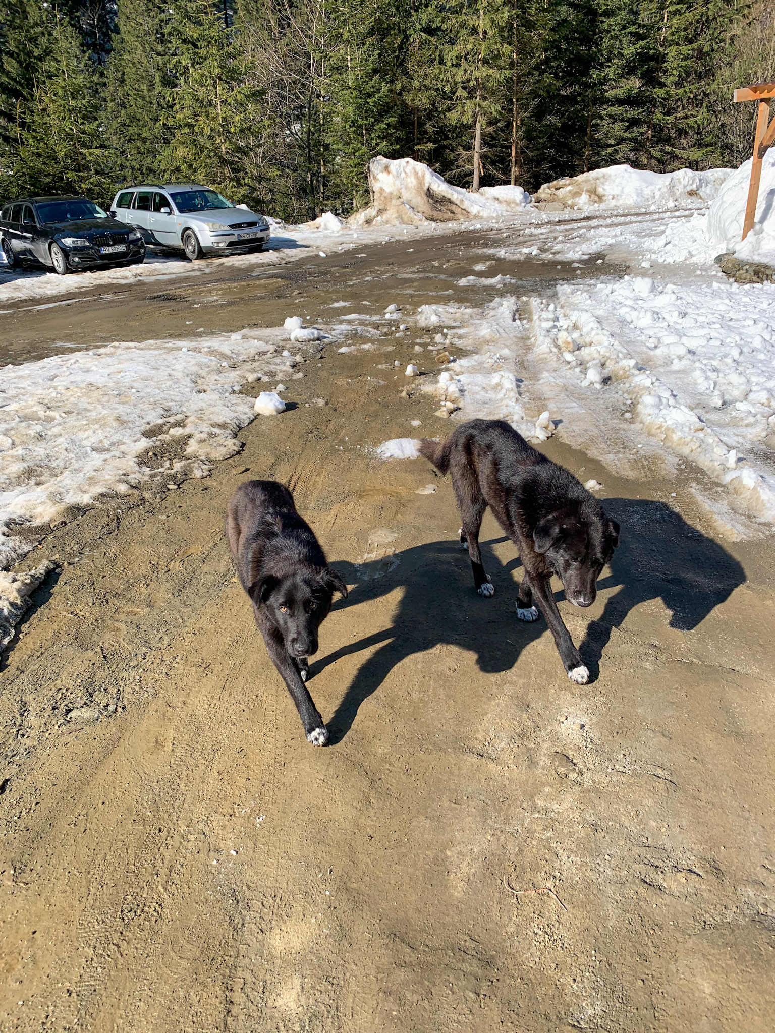 Woofers joining us at Balea Lake
