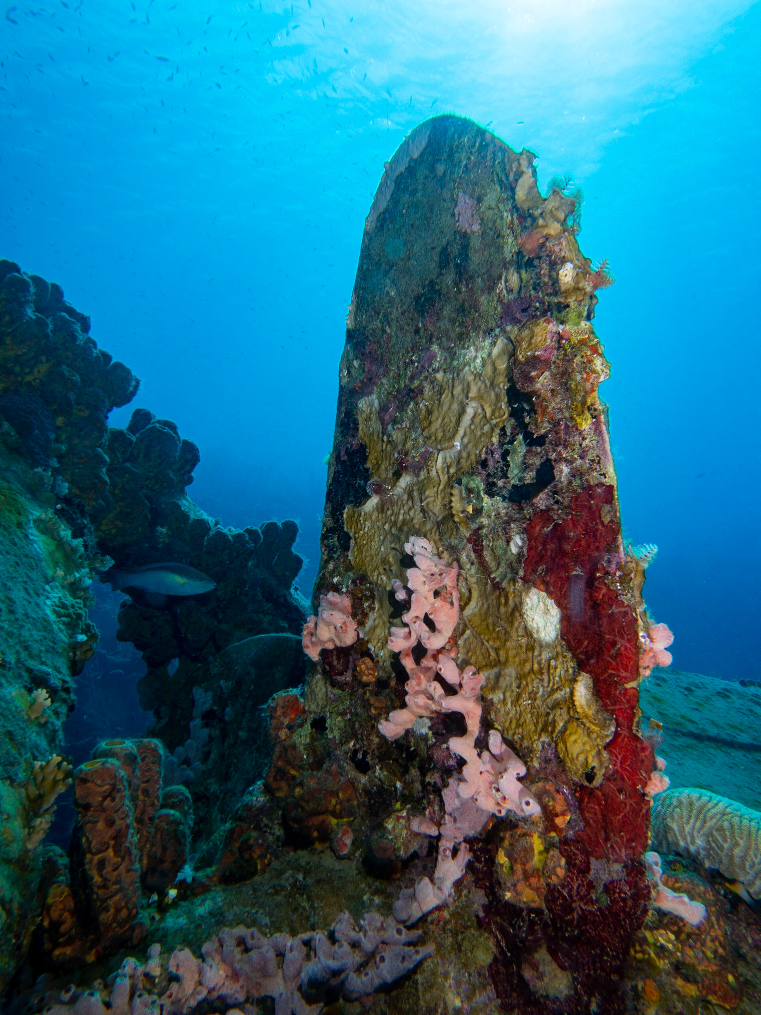 Propeller of the Hilma Hooker wreck