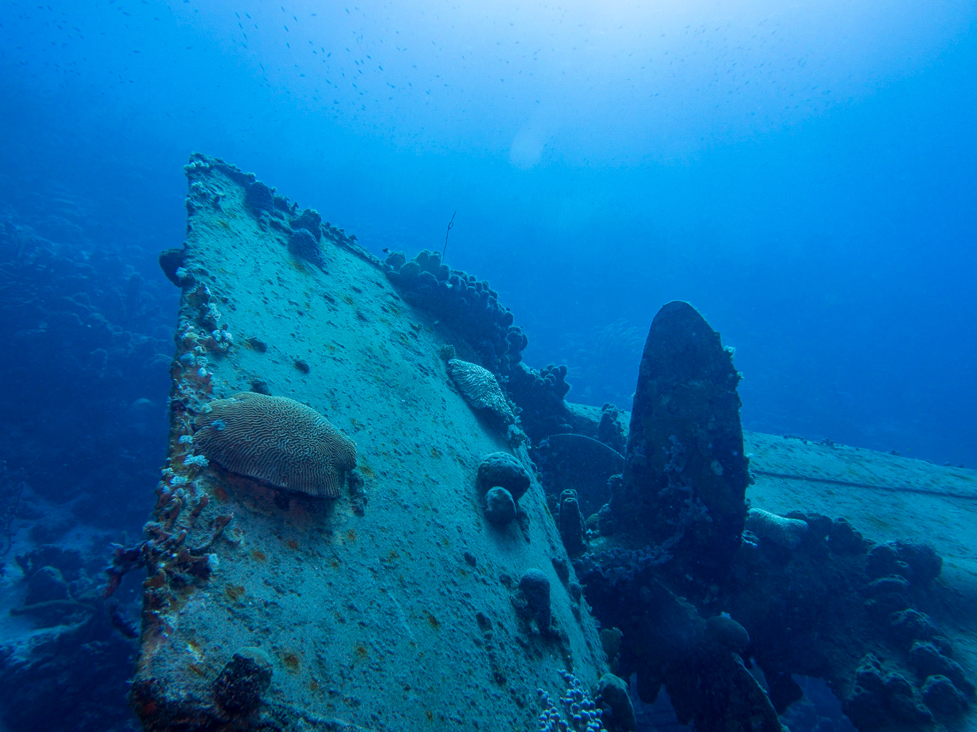 Rudder and propeller of the Hilma Hooker wreck