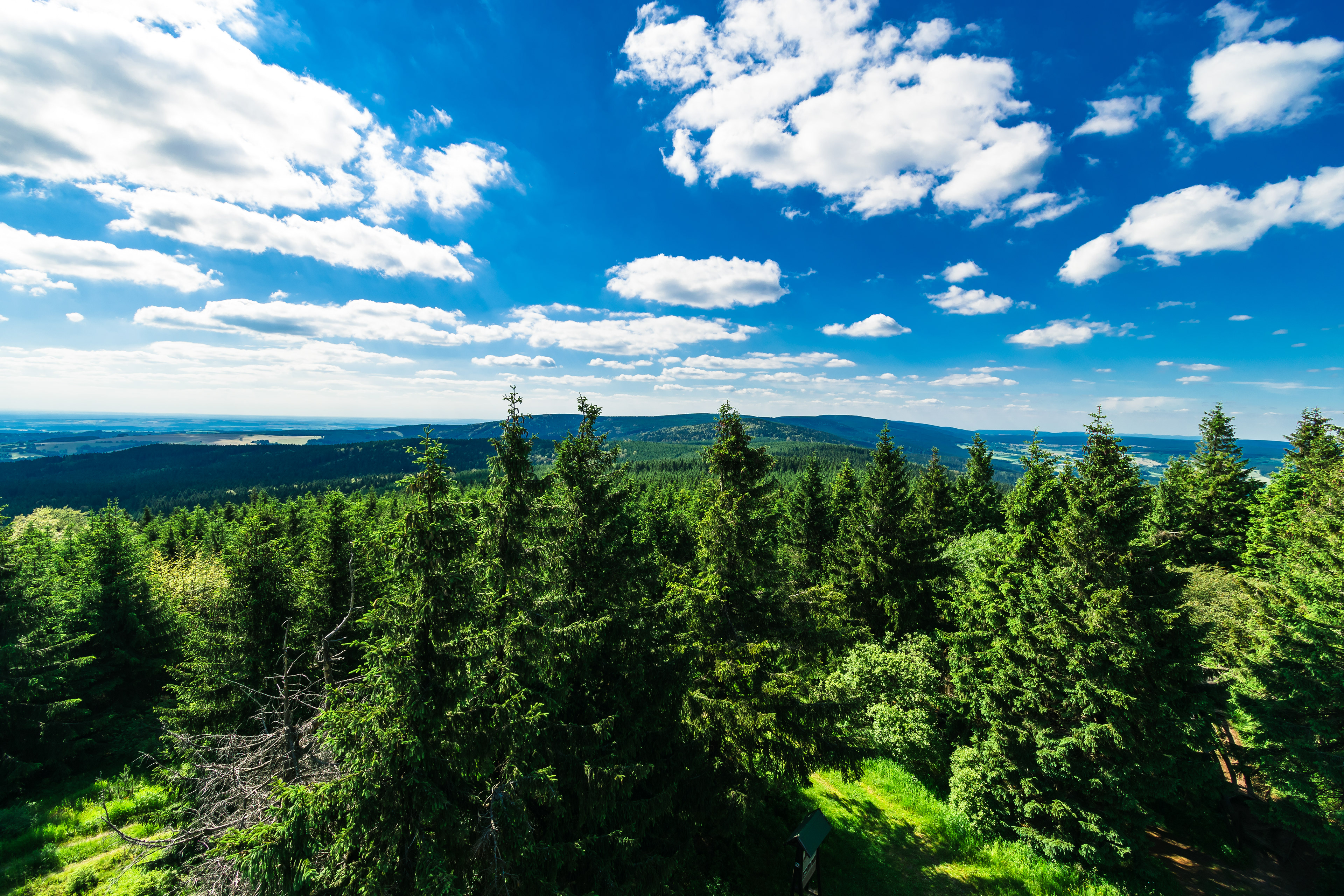 Pohled z rozhledny na Anenském vrchu