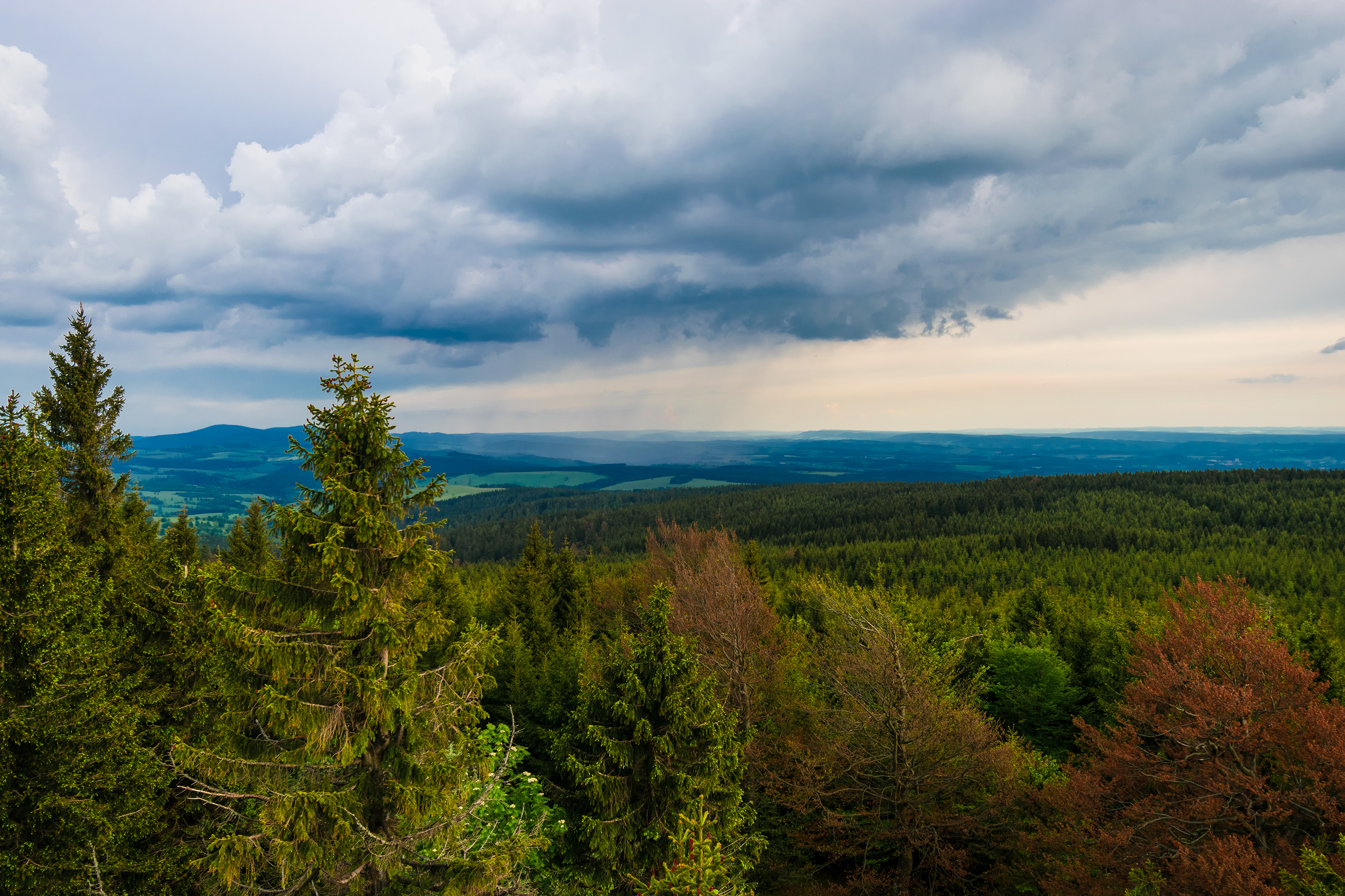 Pohled z rozhledny na Anenském vrchu