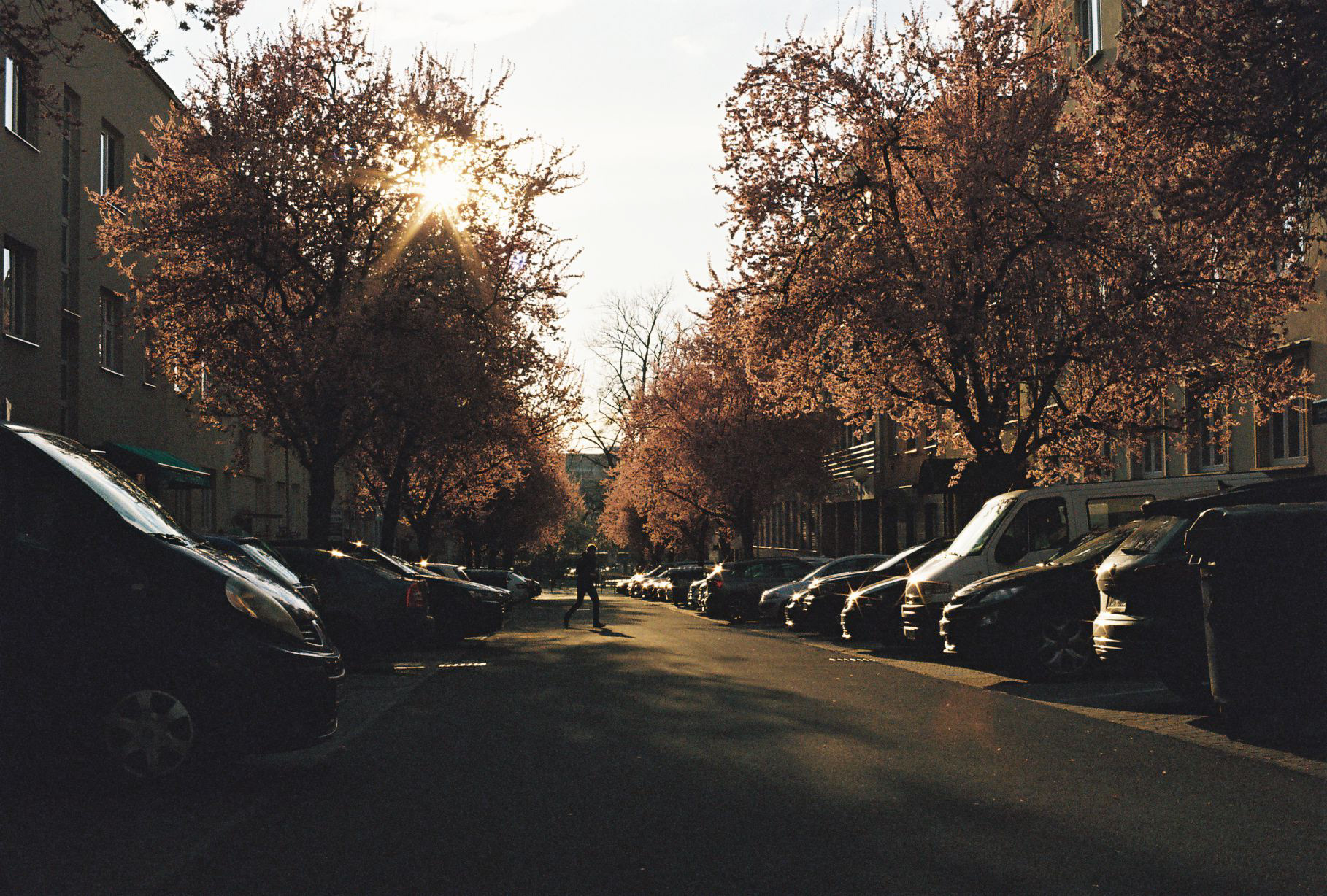 Poslední paprsky na Sadové.