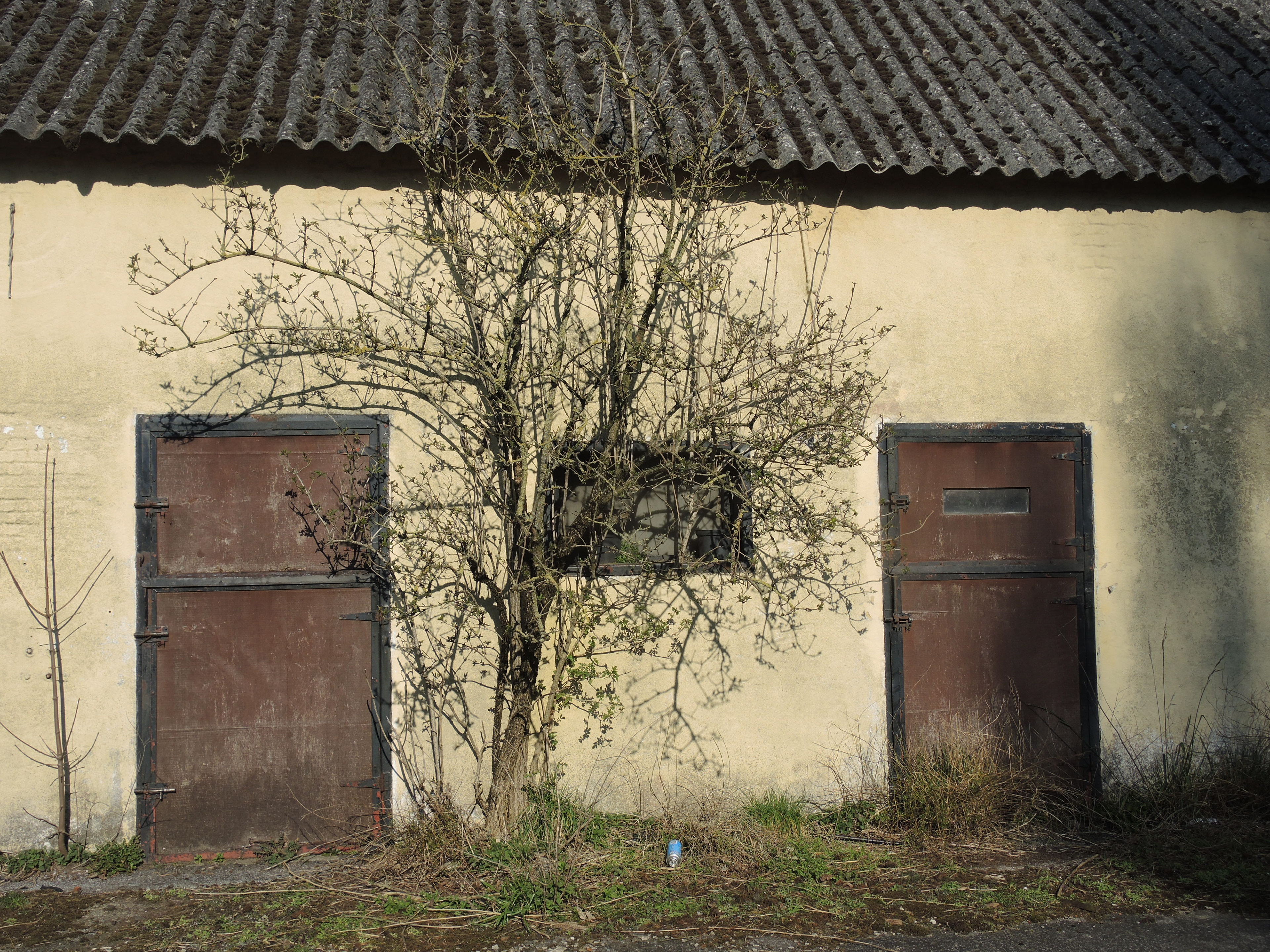 Doel