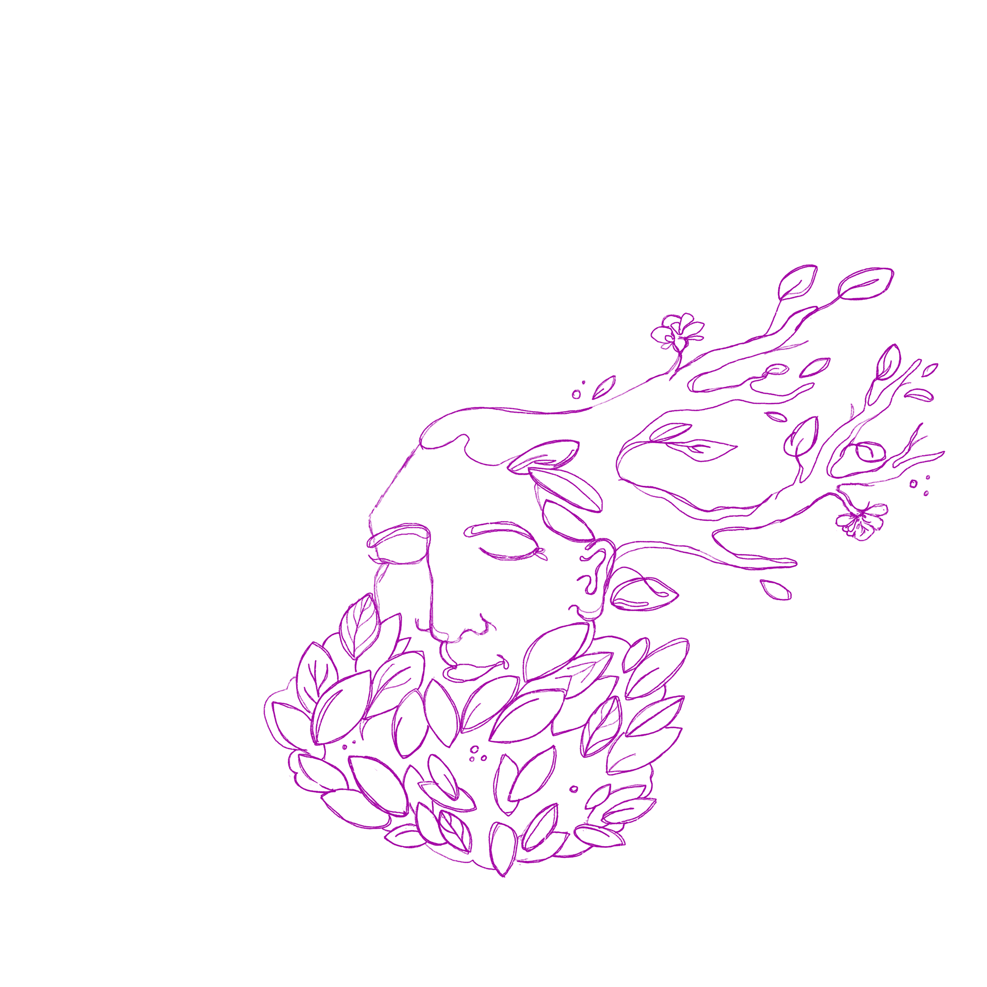 Recreating the sketch digitally with more detail