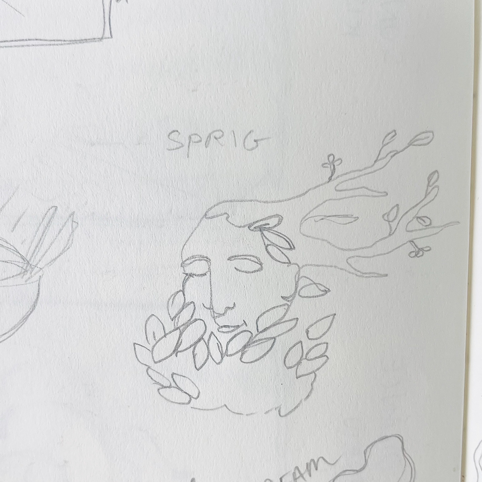 The initial pencil sketch