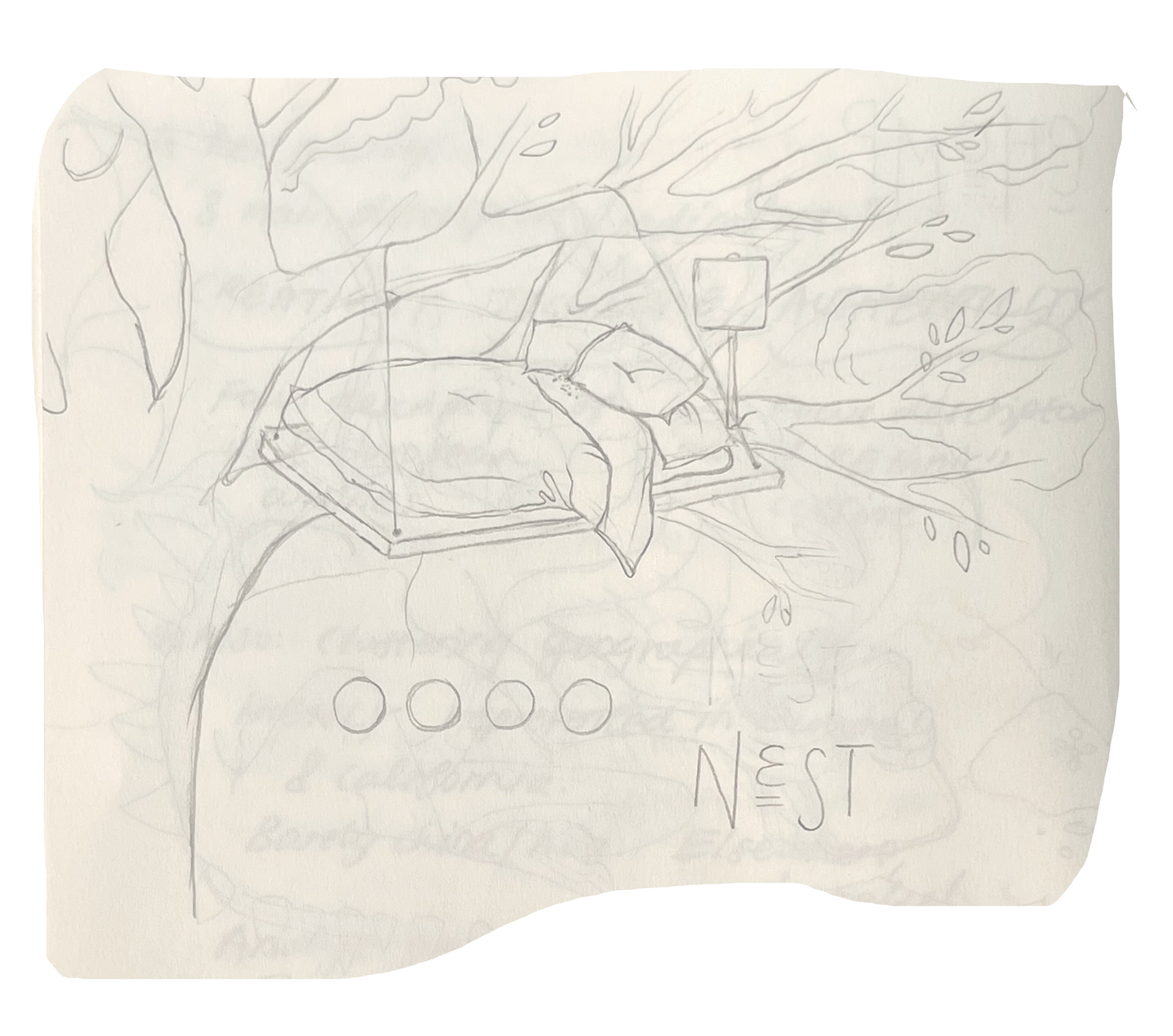 The initial pencil sketch