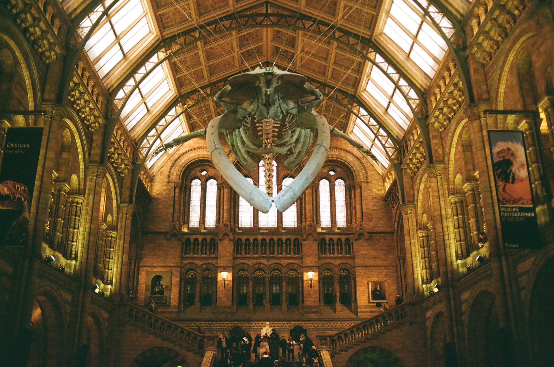 Natural History Museum, London (2023), Kodak Gold 200