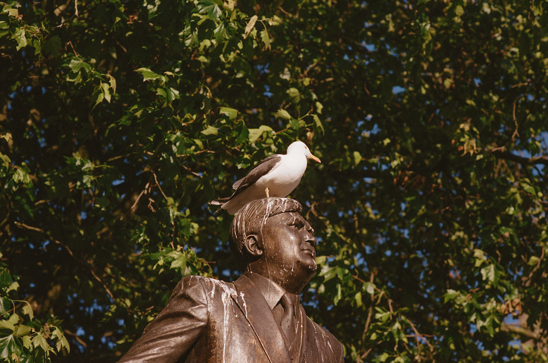 City Centre, Cardiff (2021), Kodak Portra 400