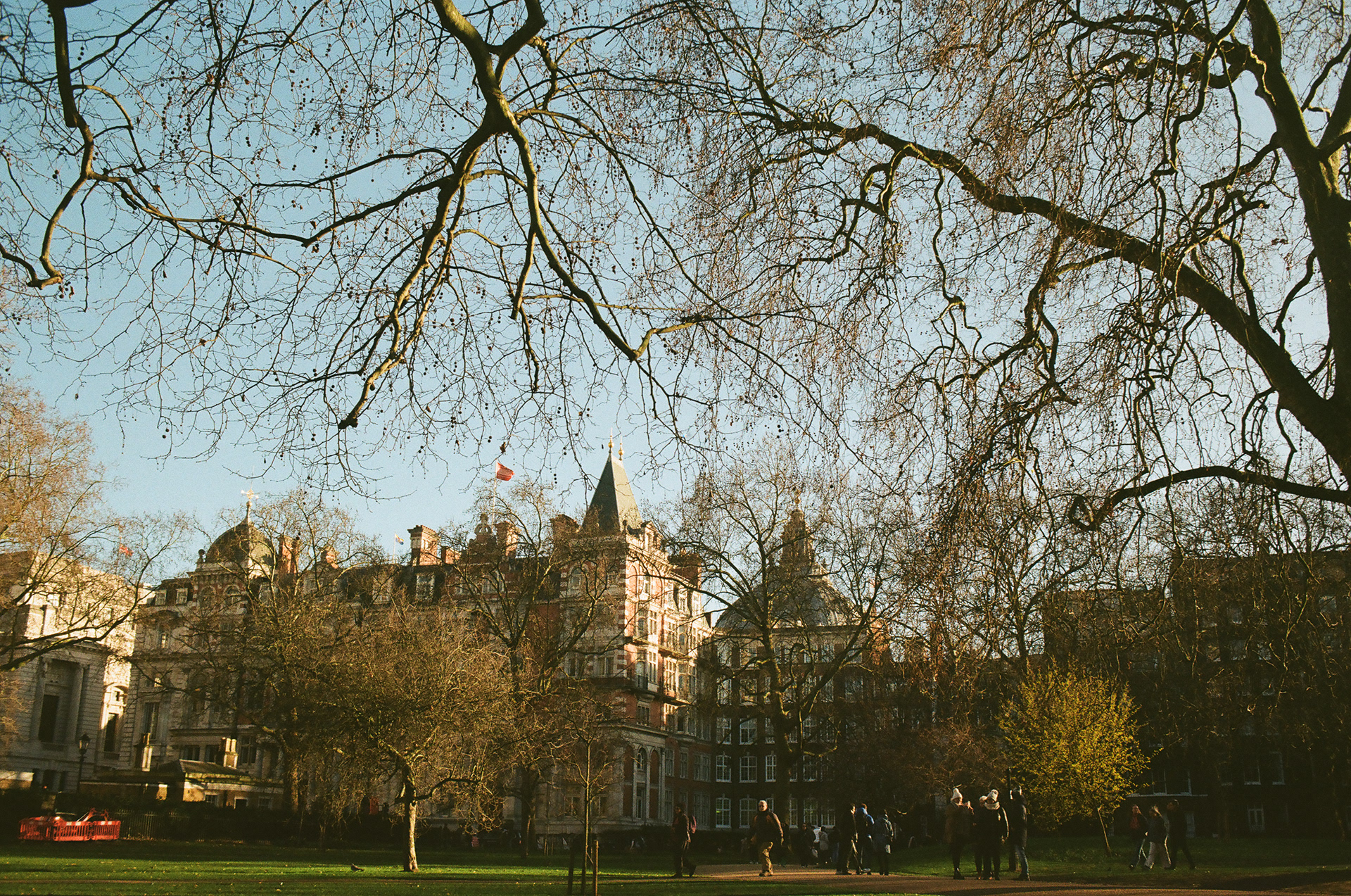 St.James Park, London (2023), Kodak Gold 200