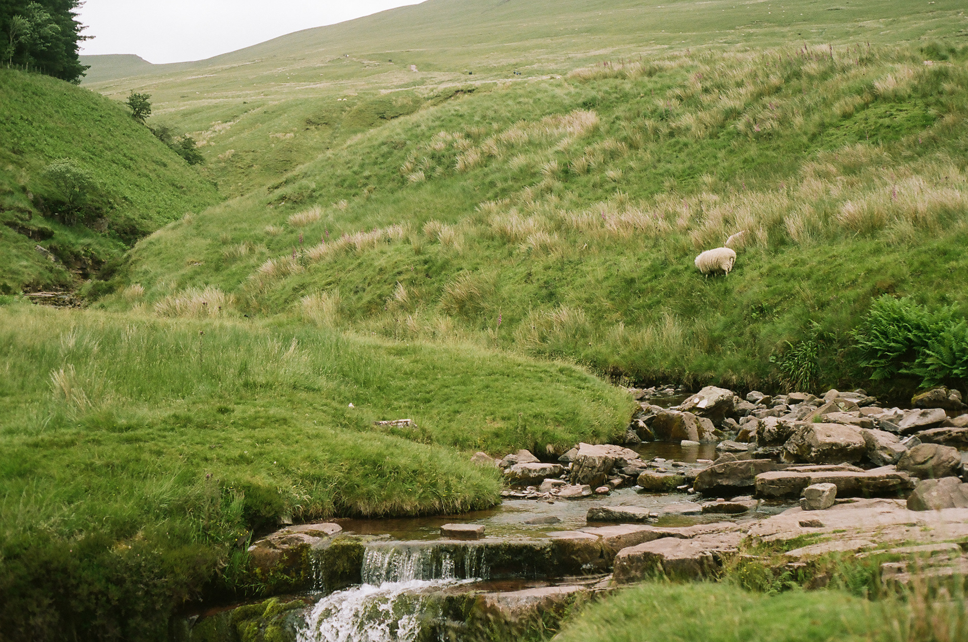 Pen-y-fan, Wales (2022), Kodak Portra 160