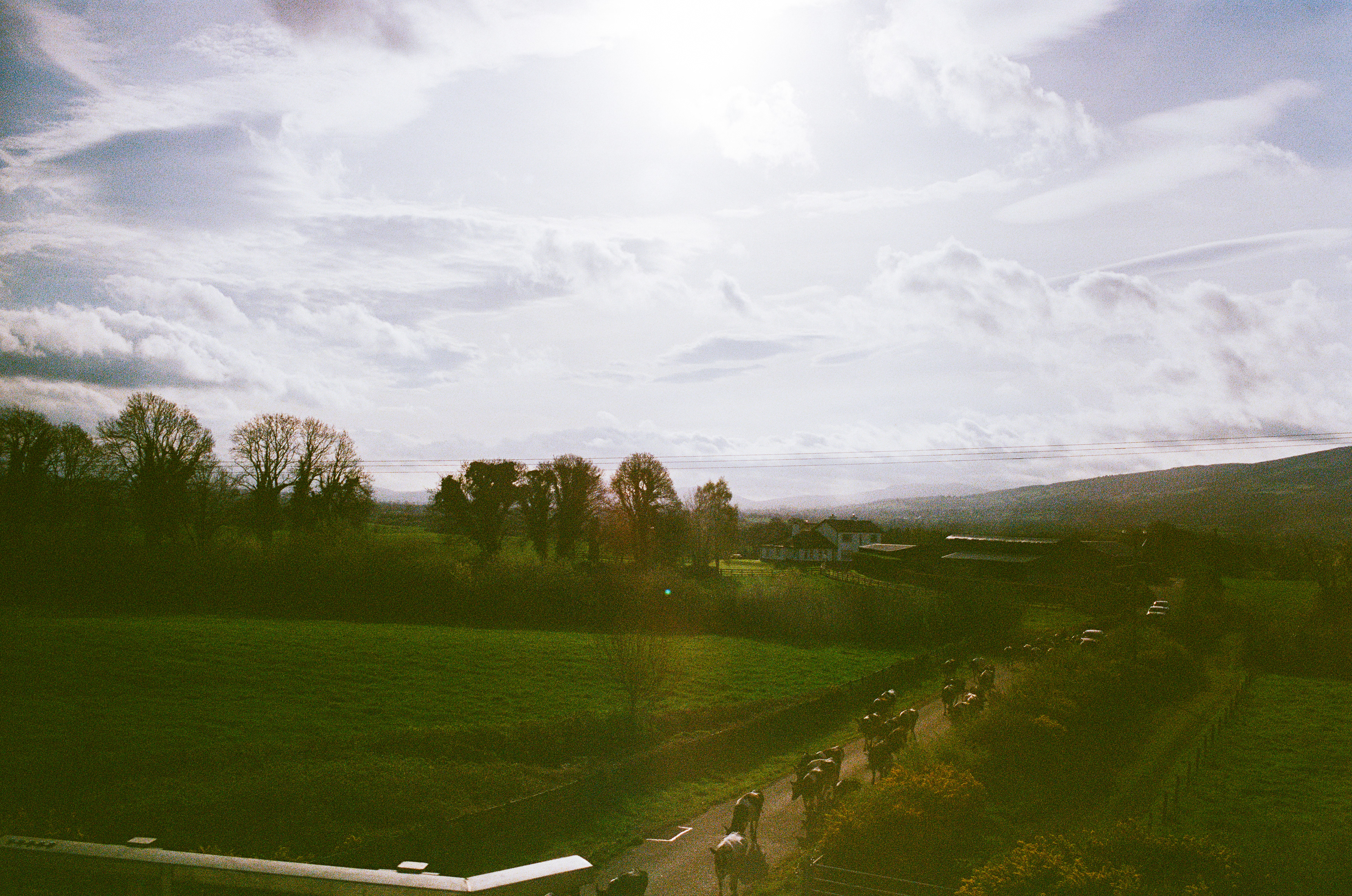 On the Bus to Galway, IE (2023), Kodak Portra 400