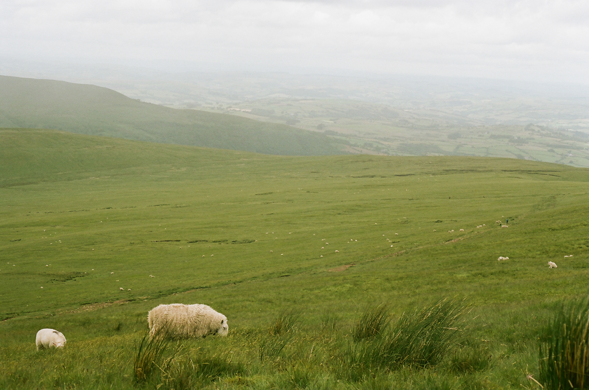 Pen-y-fan, Wales (2022), Kodak Portra 160