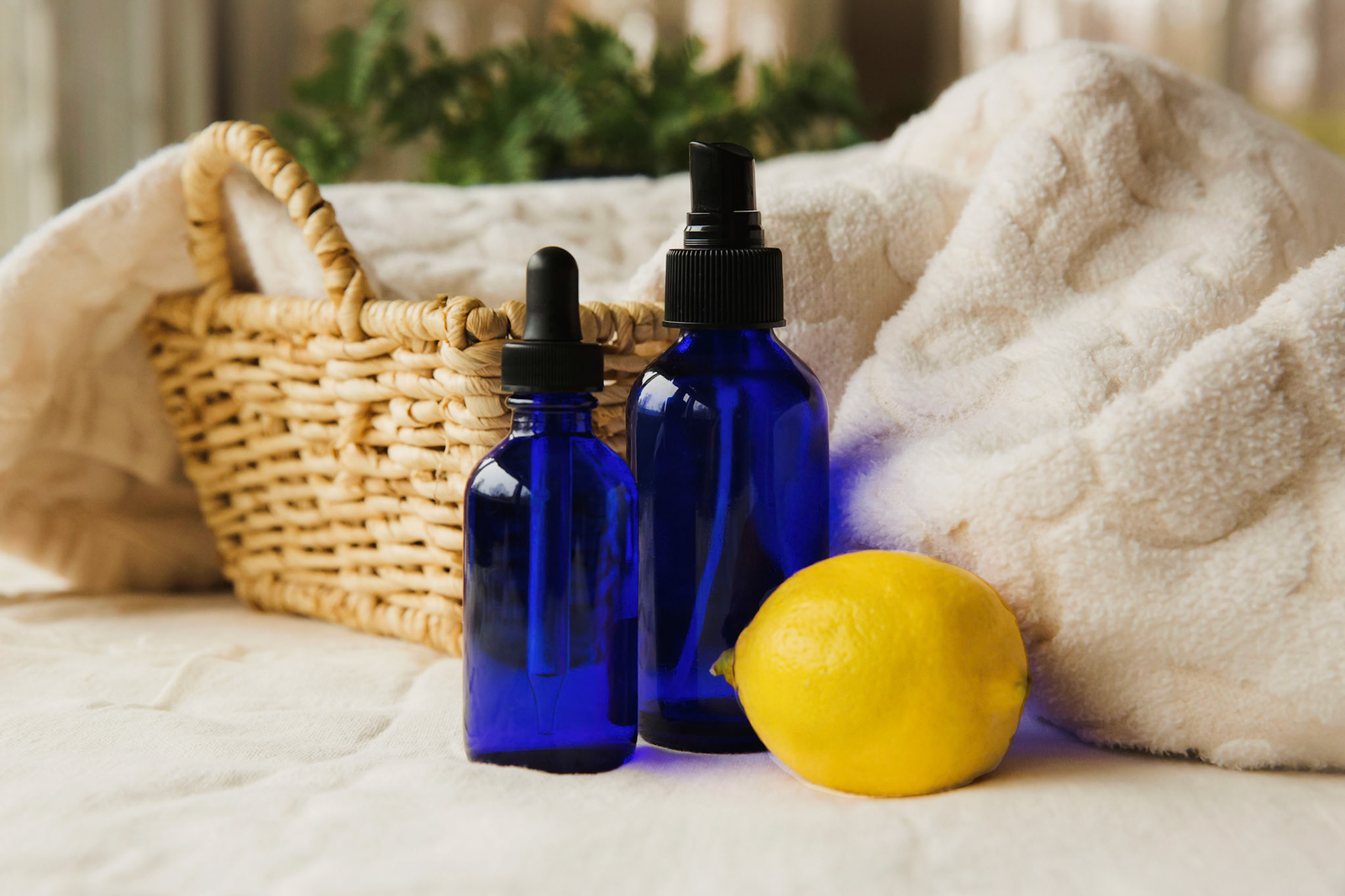 Still Life Symphony | Exploring color theory and sharp focus for high-end wedding detail shots.