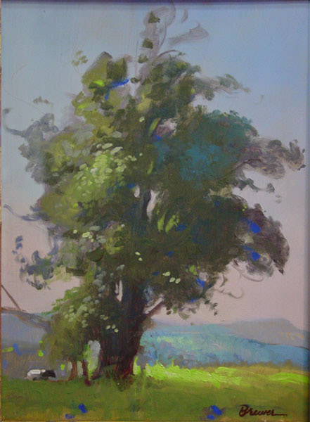 Tree Study
