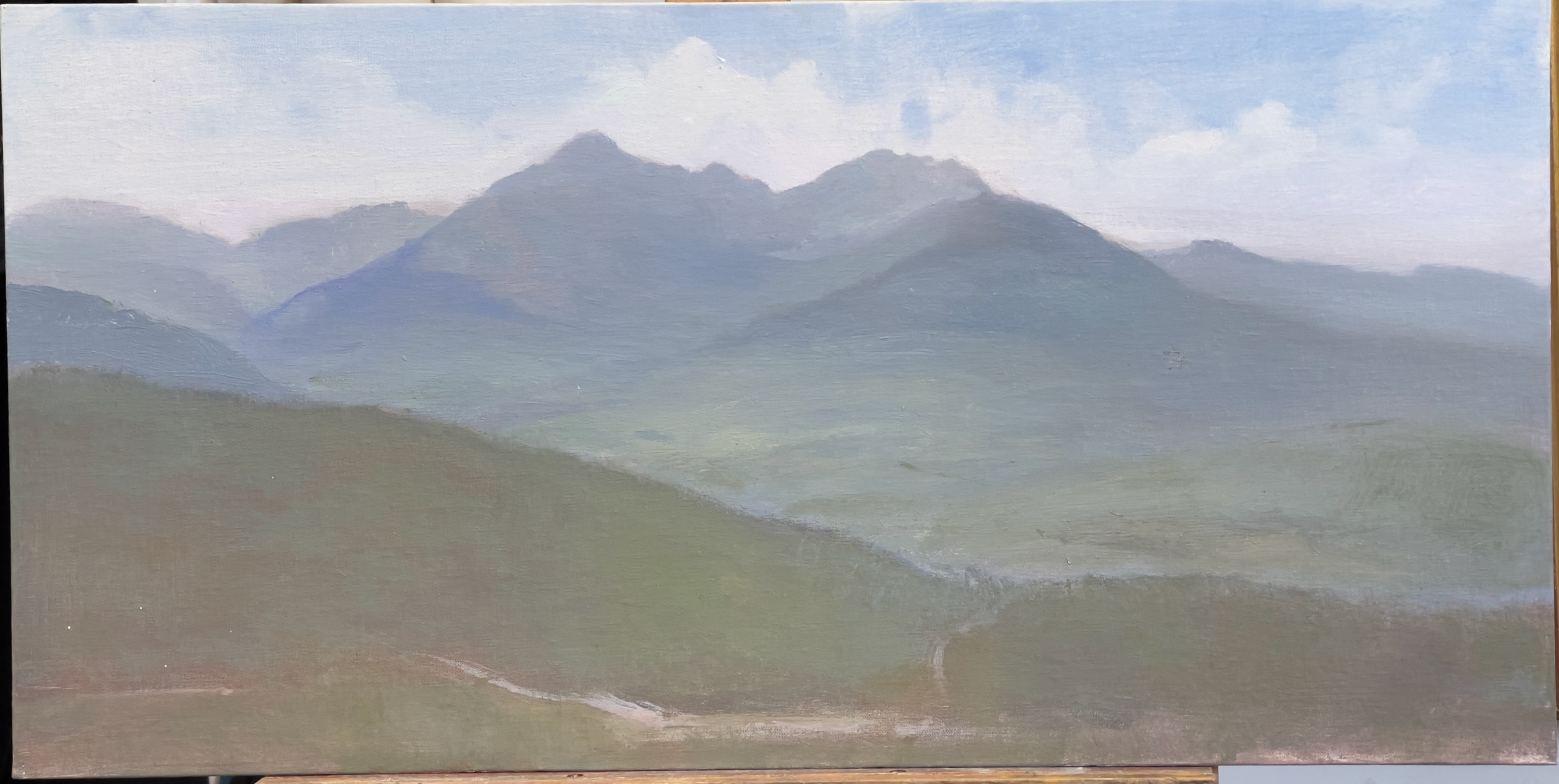 White Mt. Study