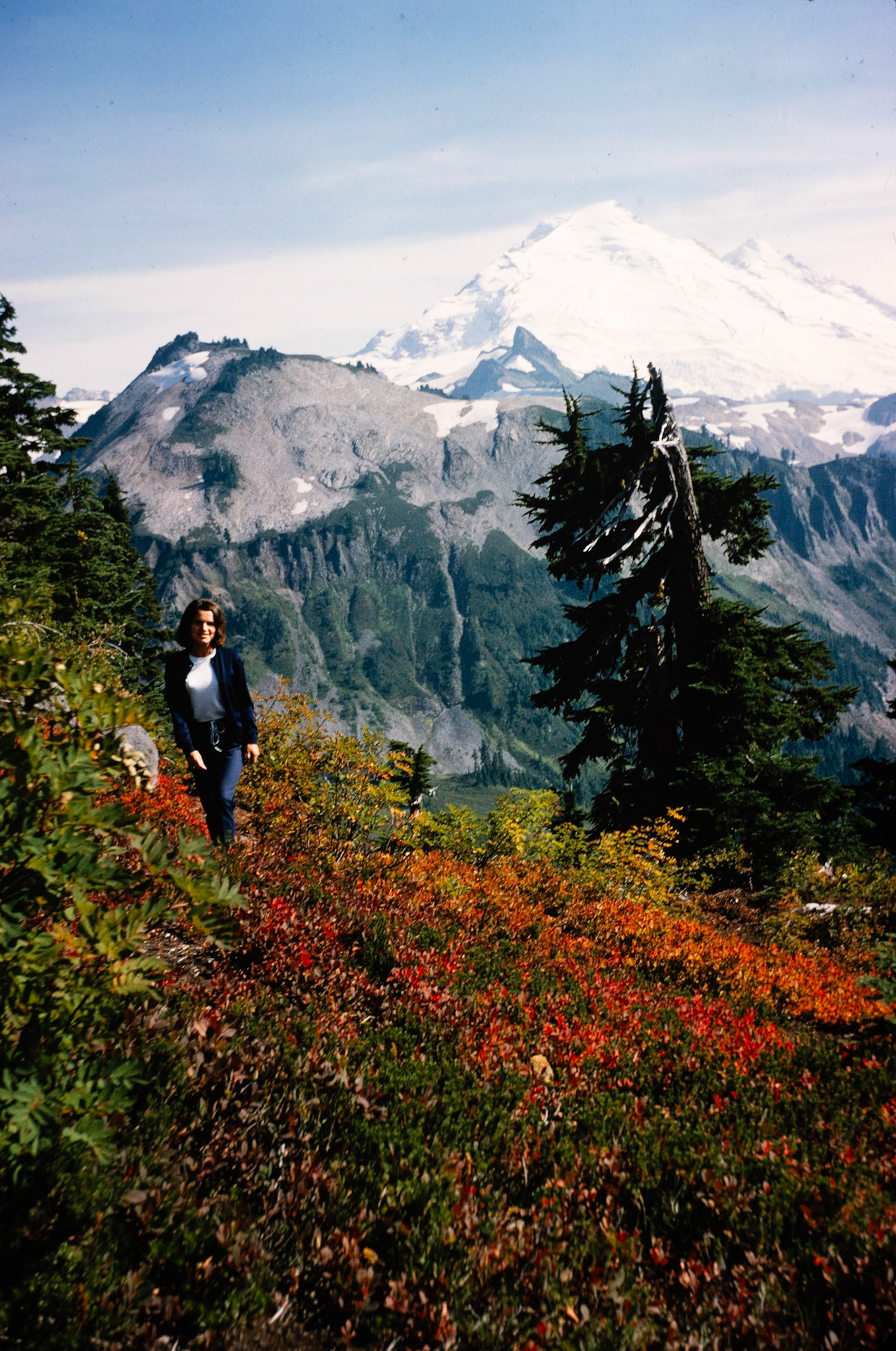 On a hike near Mount Baker, surrounded by alpine wildflowers.