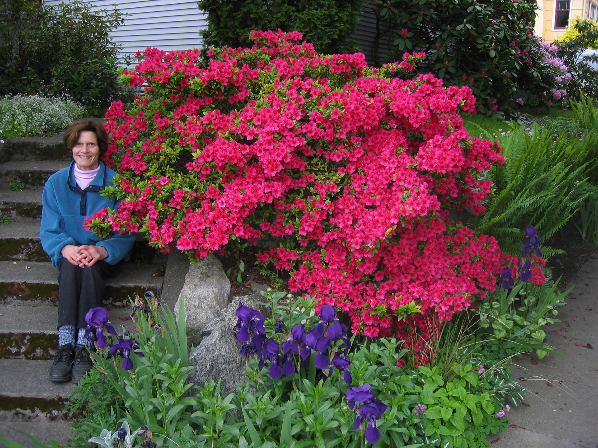 A quiet moment in Ballard, surrounded by flowers.