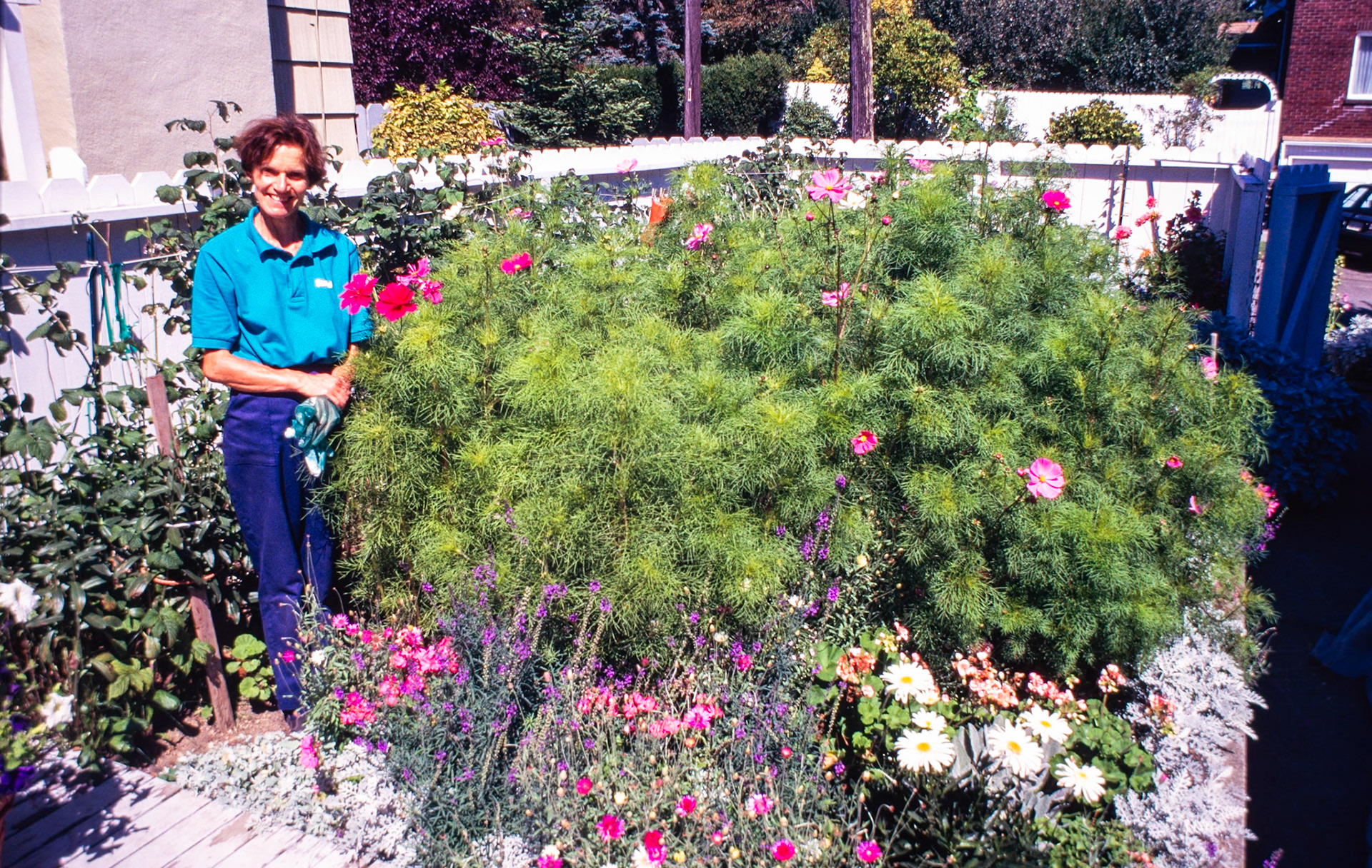 Among her azaleas