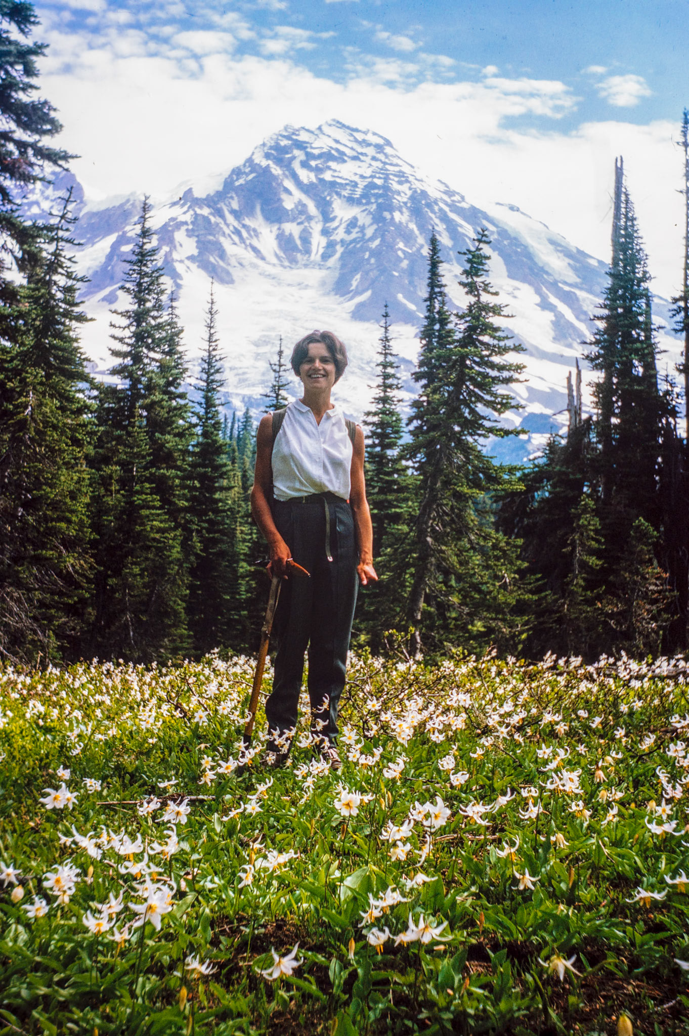 Amongst the daisies with Mount Rainier beyond.