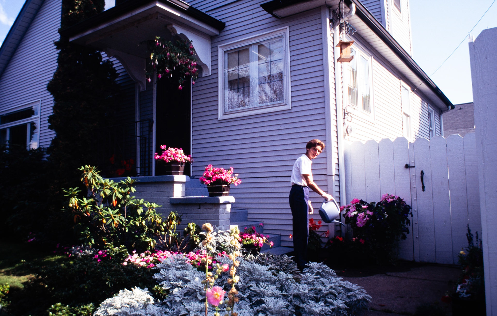 Watering blooms on the front steps in Ballard.