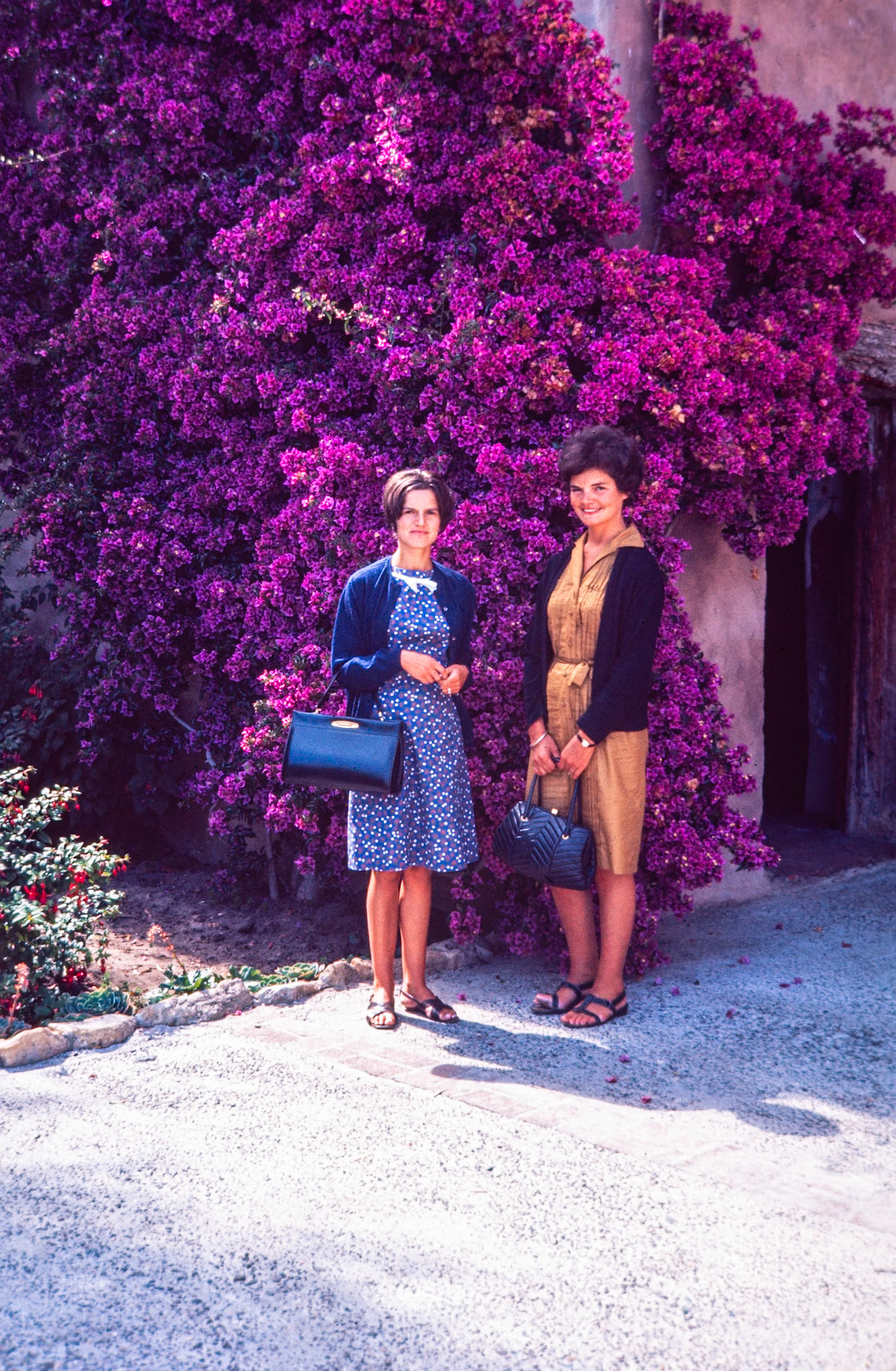 Agnes and Marthe by a stunning bougainvillea in France.