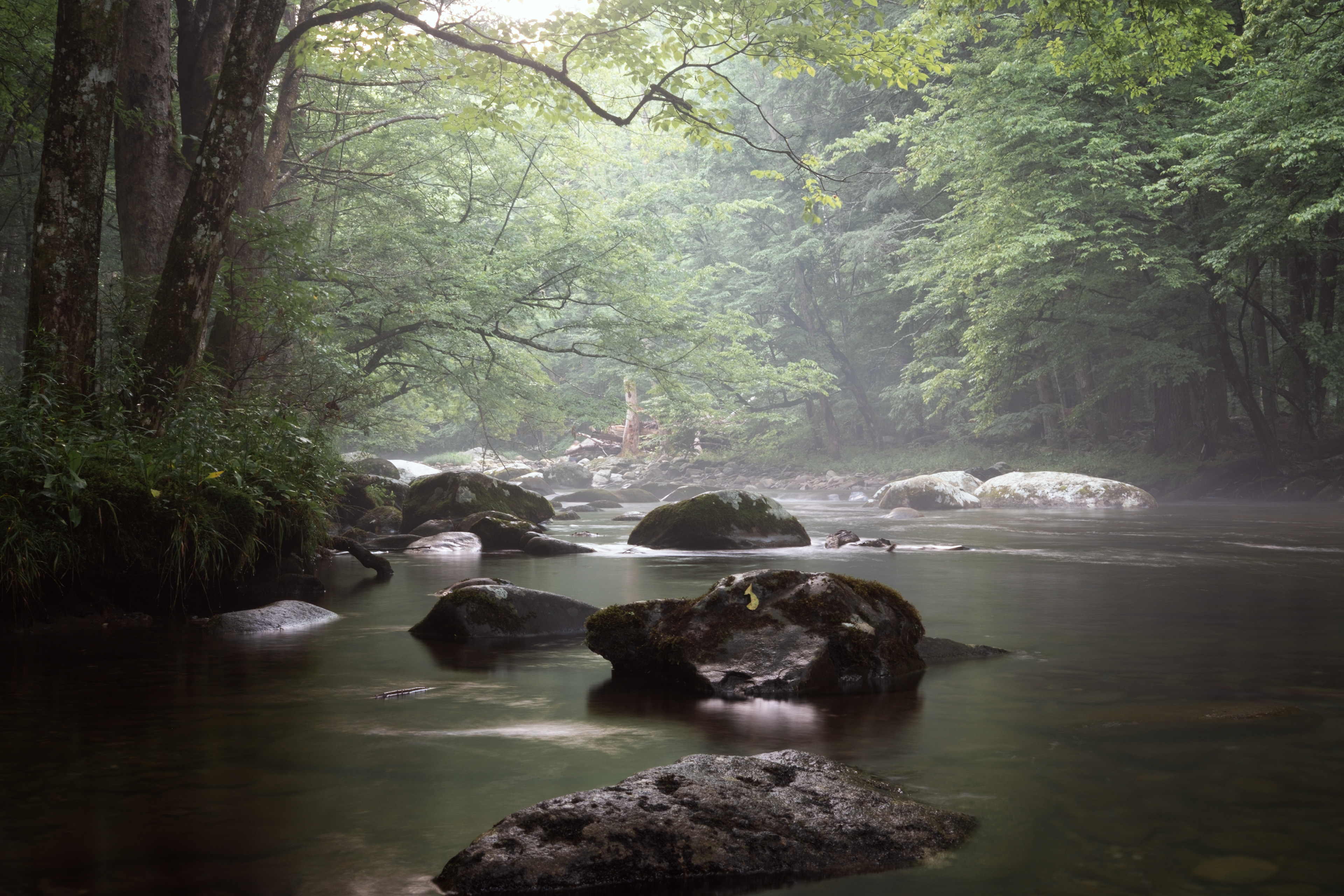 Elkmont - Terres ancestrales des Cherokee - Great Smoky Mountains National Park - Gatlinburg, TN - 2024 