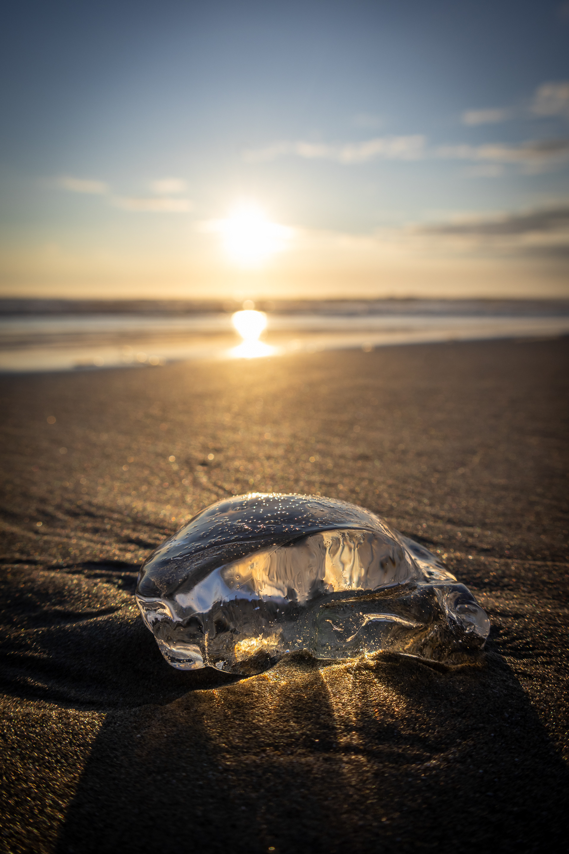 Wickaninnish Beach - ƛaʔuukʷiʔatḥ - Territoire de la Première Nation de Tla-o-qui-aht - Pacific Rim National Park Reserve, BC, Canada - 2023