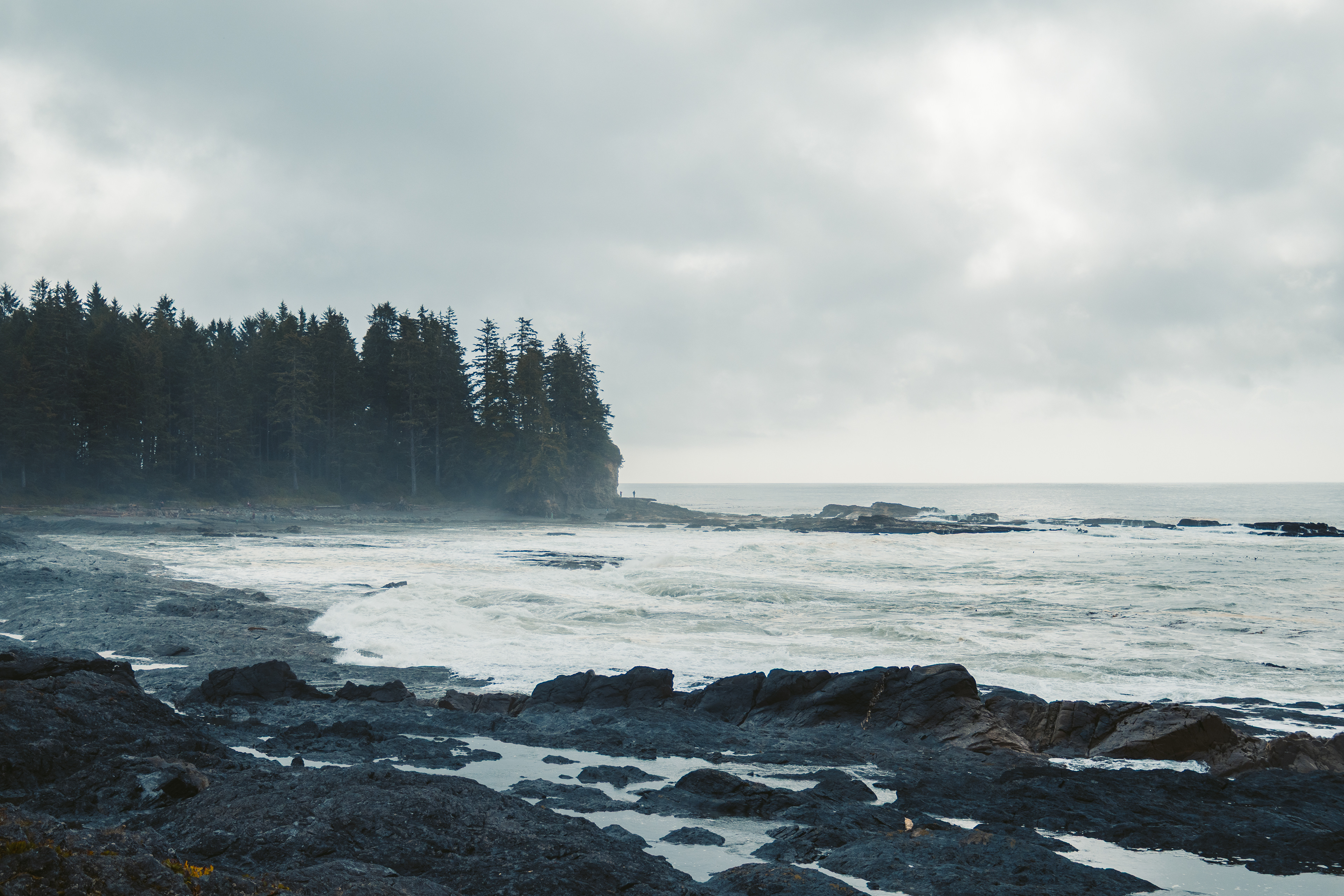 Botanical Beach - Territoire de la Première Nation de Pacheedaht - Port Renfrew, BC, Canada - 2023