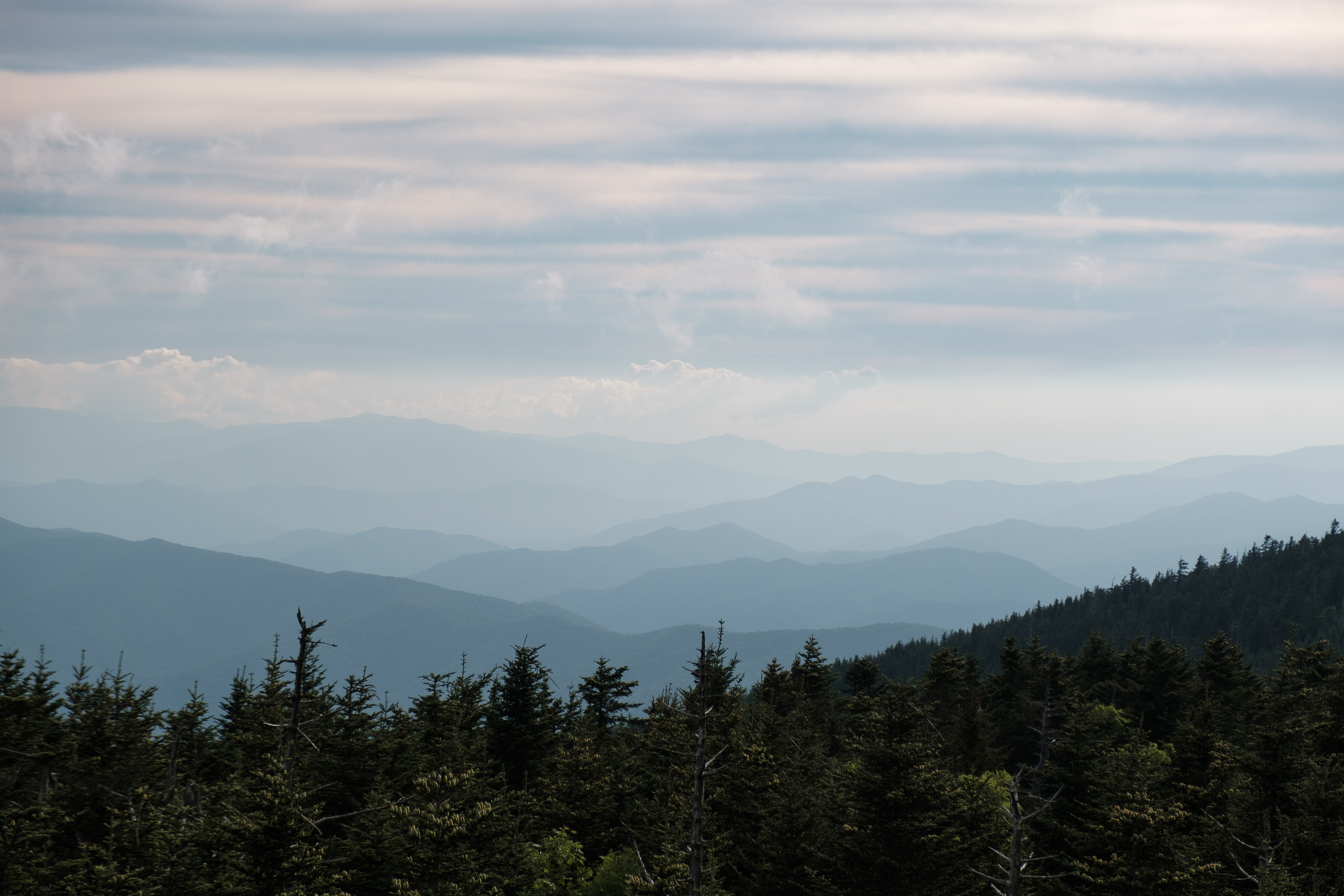 Blue Mountains - Terres ancestrales des Cherokees - Great Smoky Mountains National Park - Gatlinburg, TN - 2024