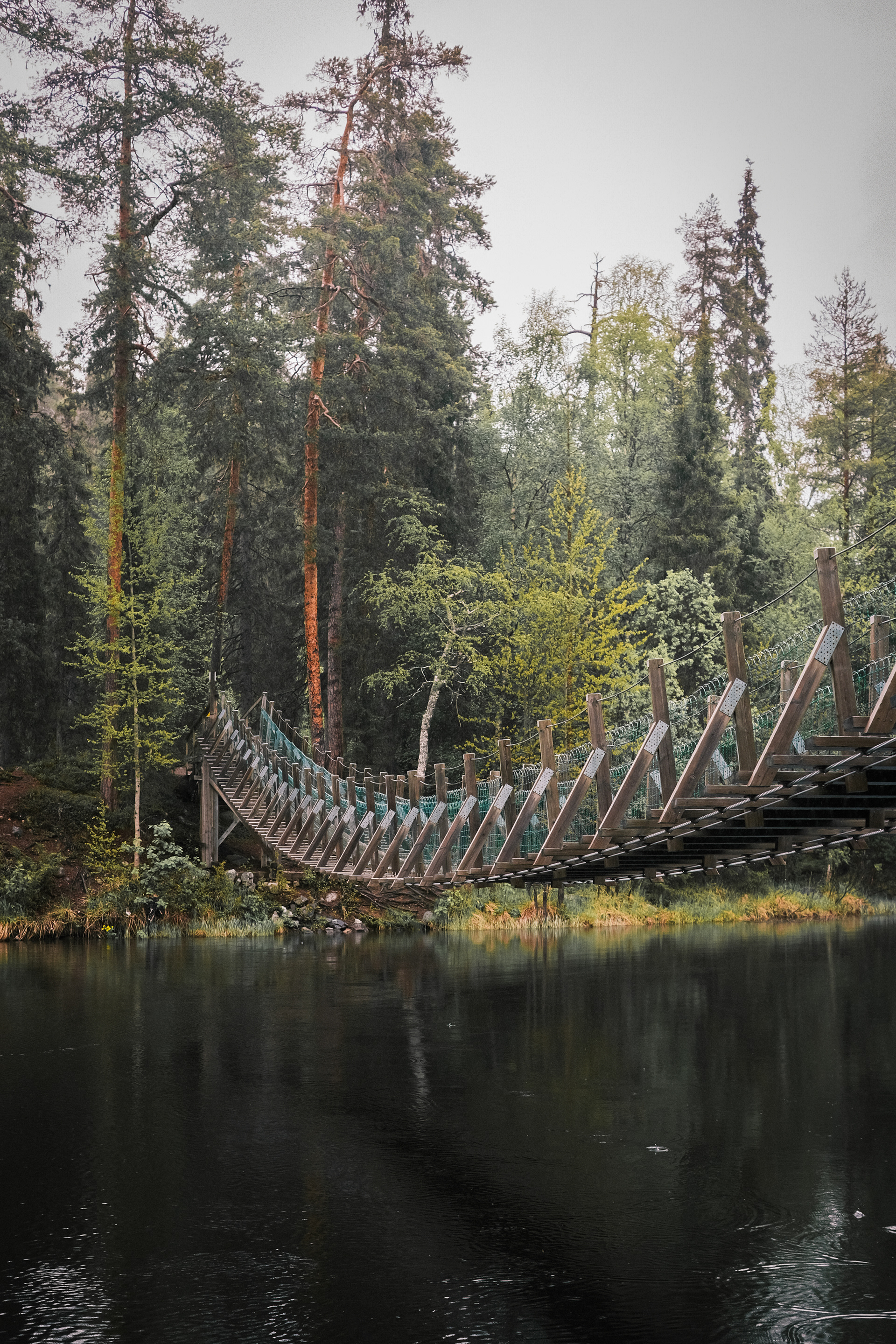 Harrisuvanto Suspension Bridge - Oulanka National Park - Juuma, Finland - 2025